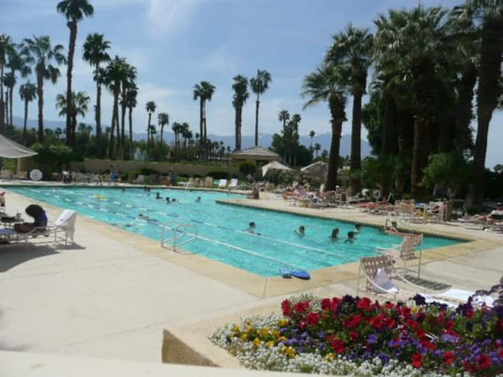 The main Olympic-sized clubhouse pool thumbnail