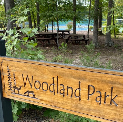 Enjoy a Woodland Park Family Picnic Equipped w/Tables, Chairs & a Grill  thumbnail