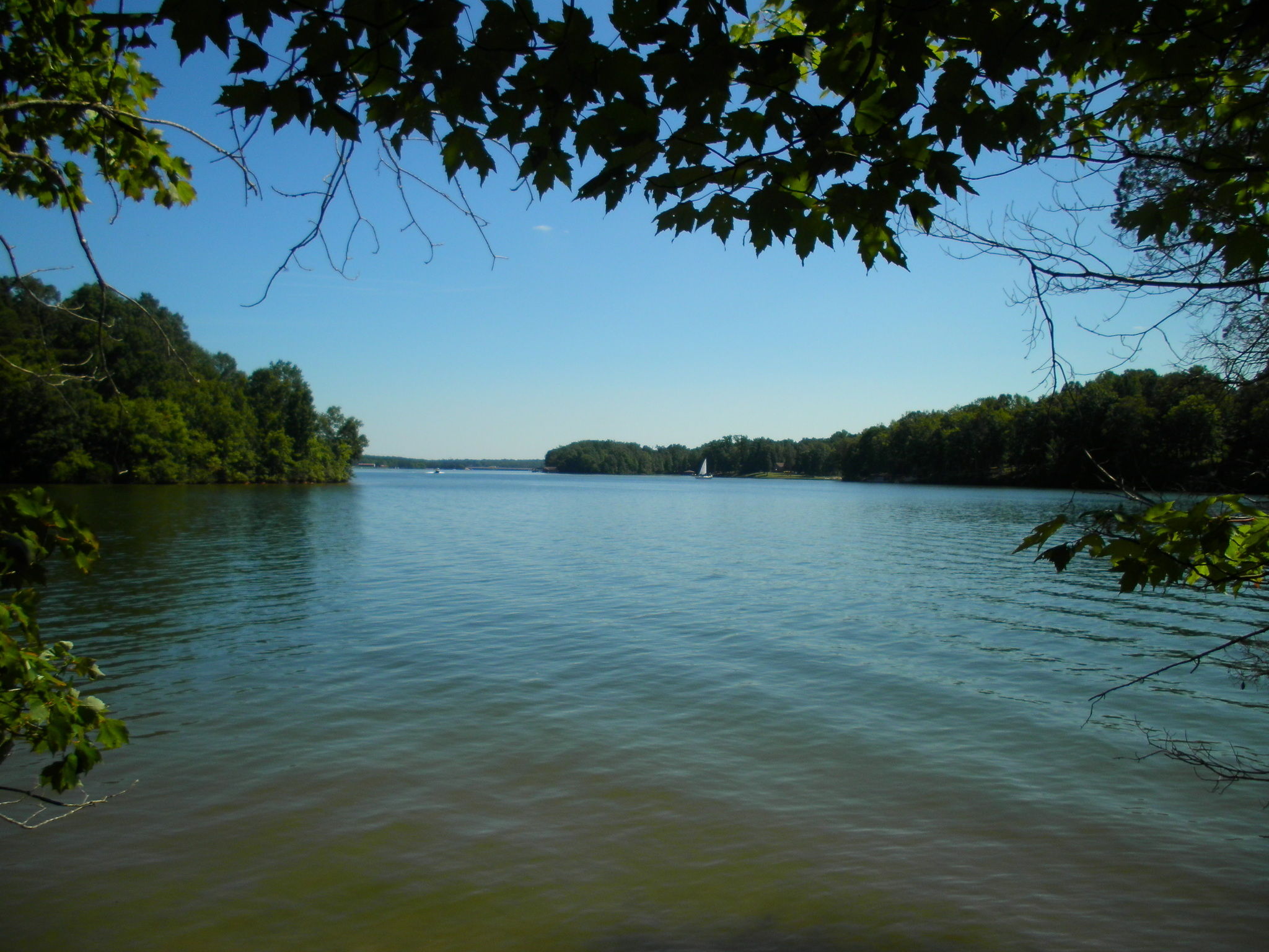 And the Many Miles of Lake Anna's Shoreline & Waterways thumbnail