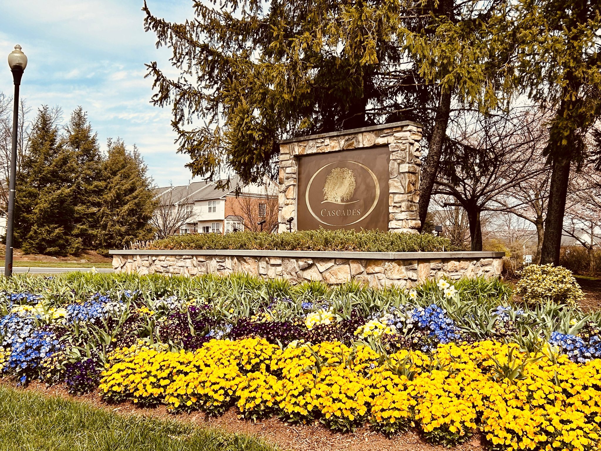 subsection photo