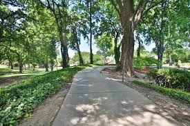 Cart Path with Mature Trees