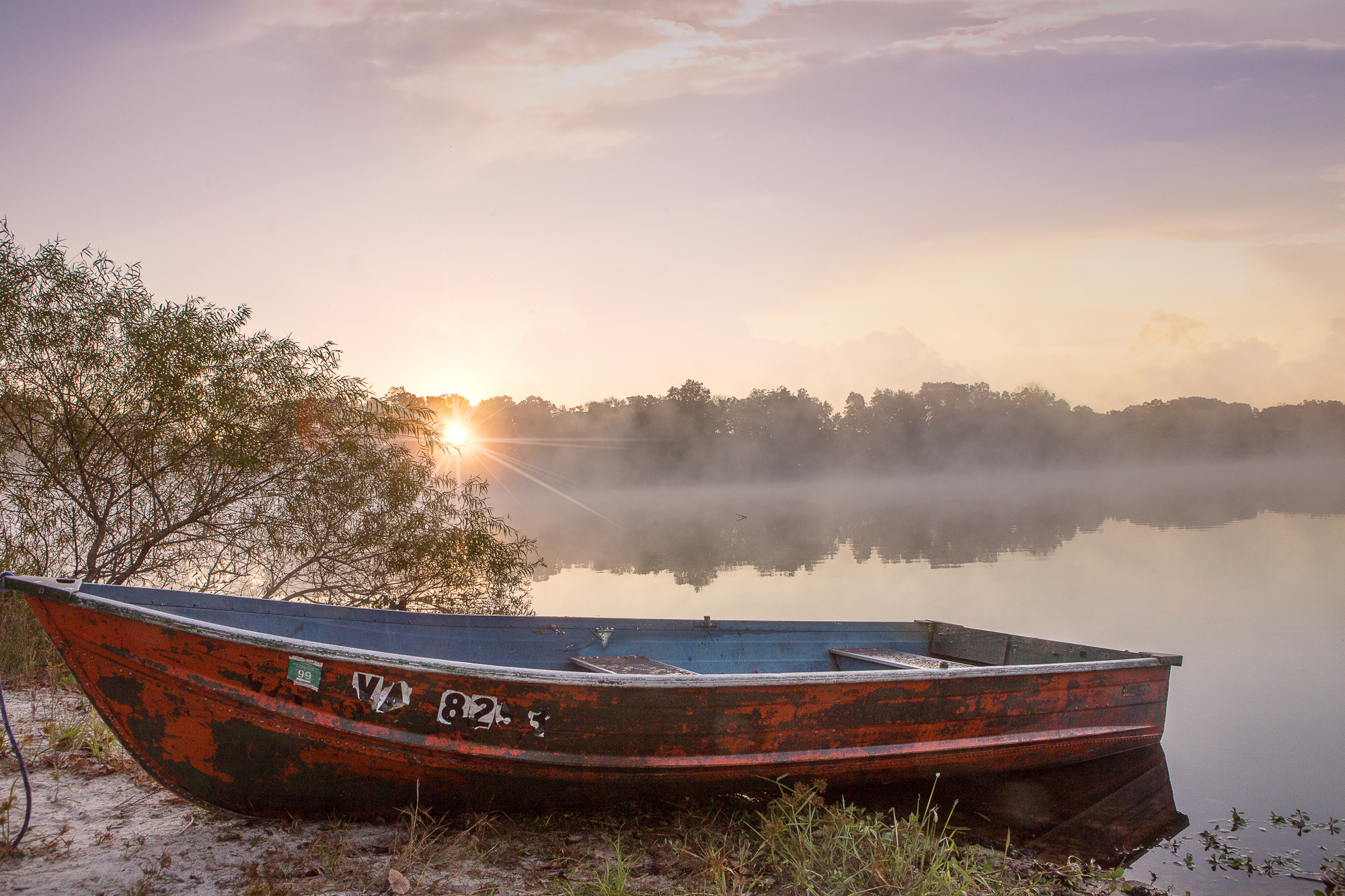 Morning mist on the lake