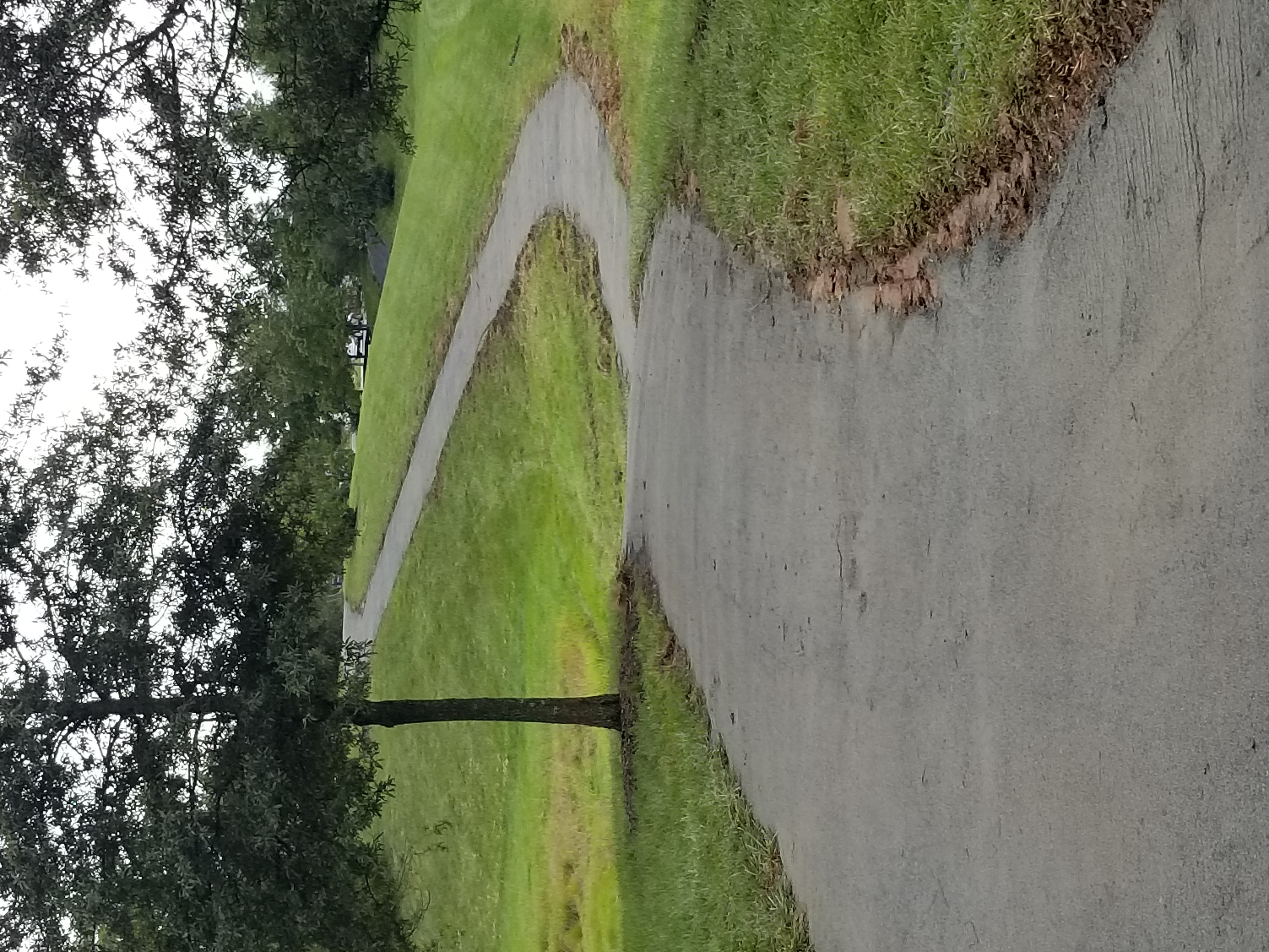 Final section of trail completed and a job well done! thumbnail