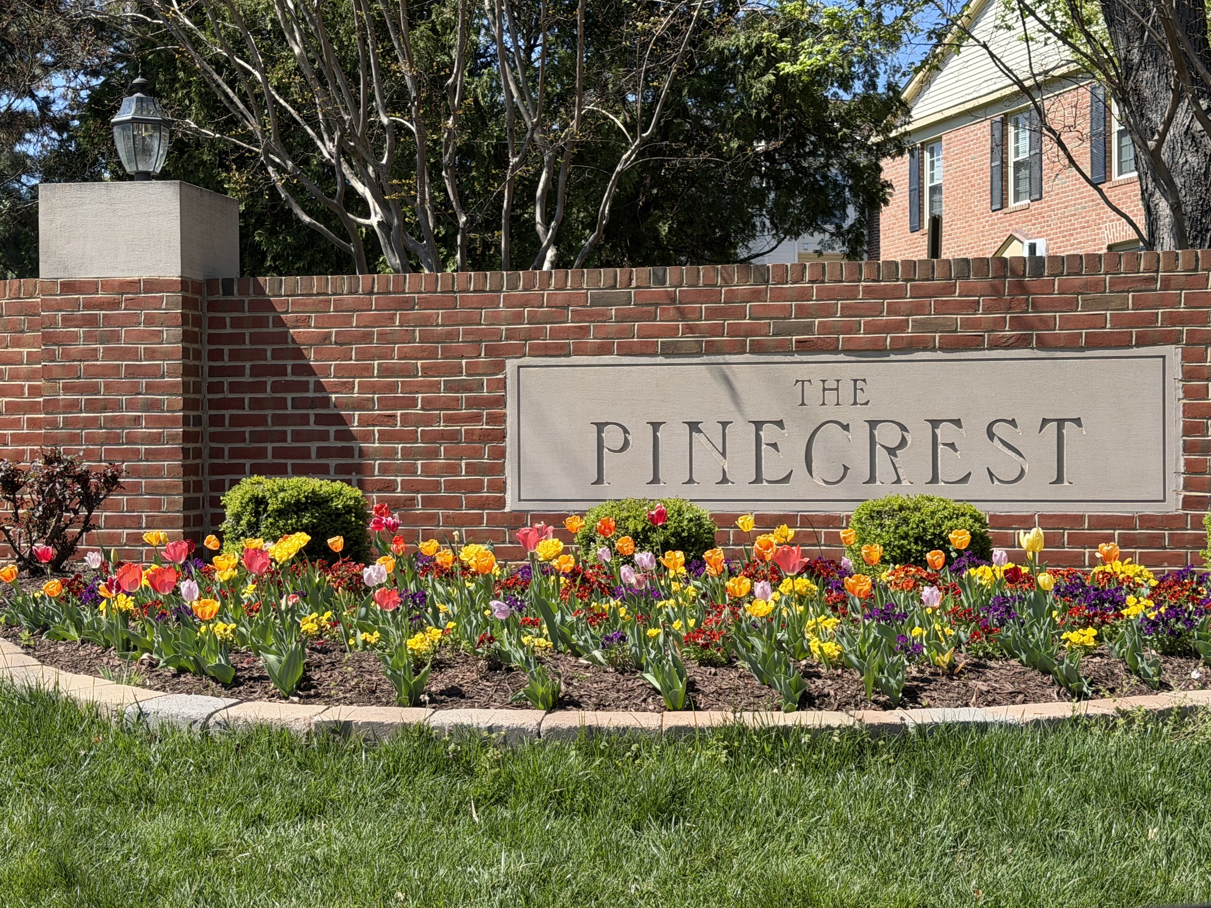 Pinecrest Community Assoc