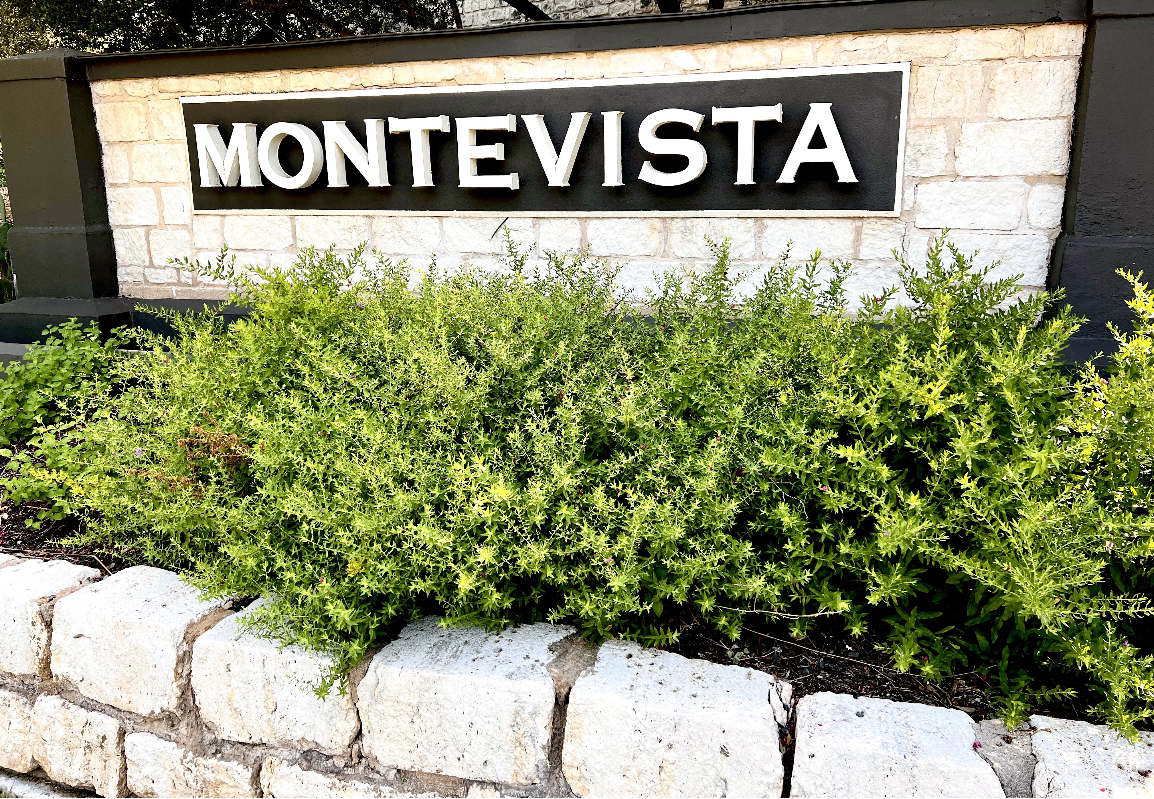 Montevista Condominiums cover