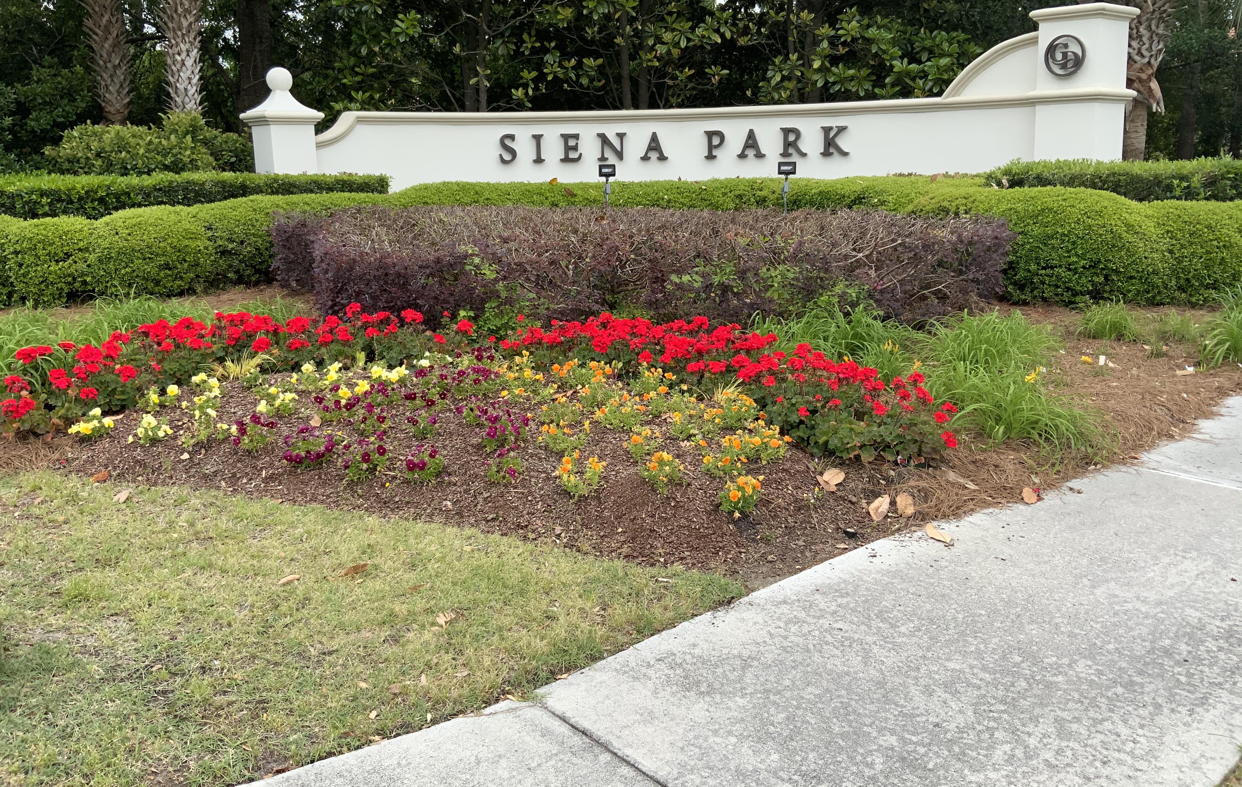 Siena Park cover