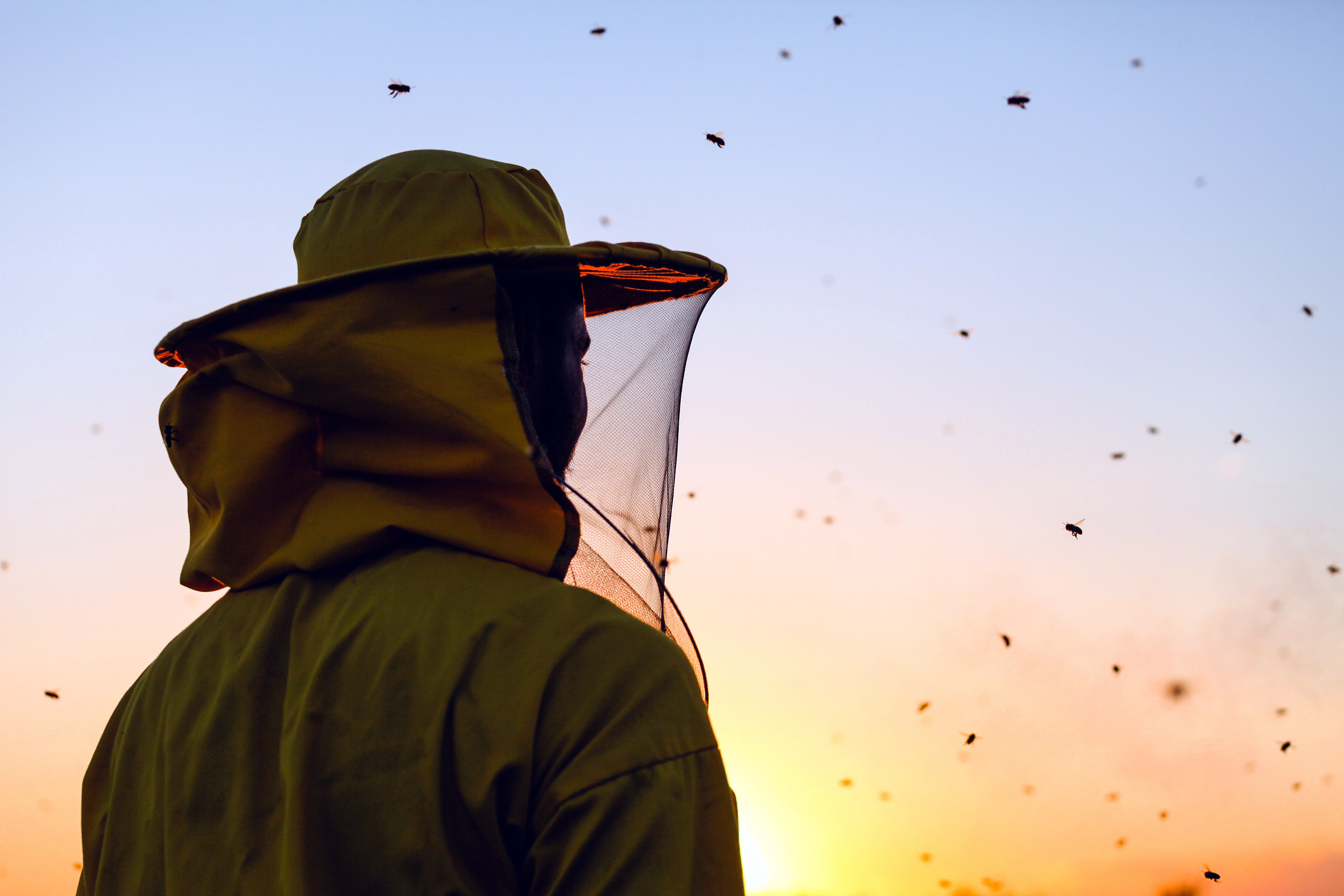 Have your own micro apiary. thumbnail