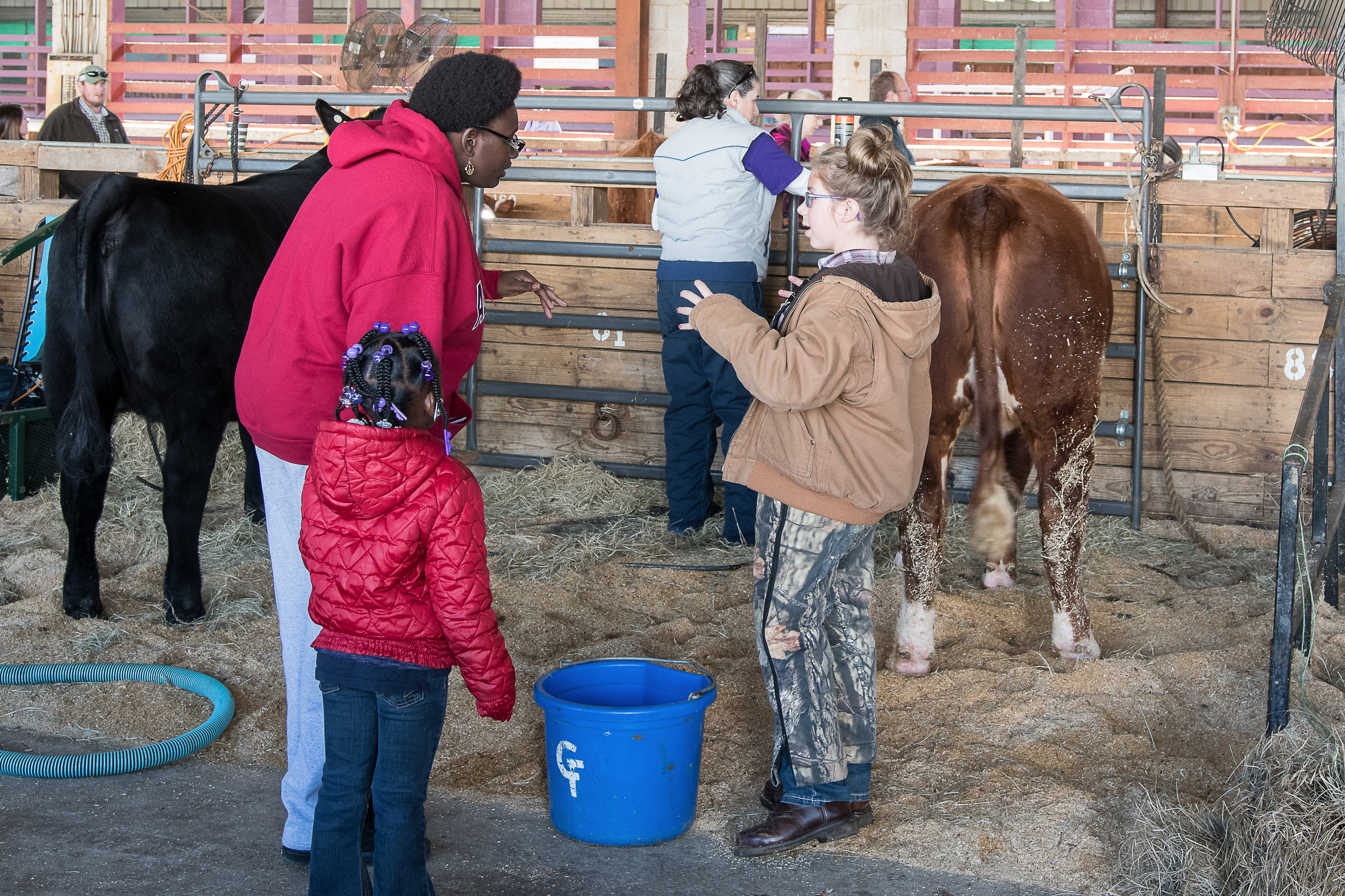 Adams county fairgrounds and the 4 H clubs are within 5 miles thumbnail