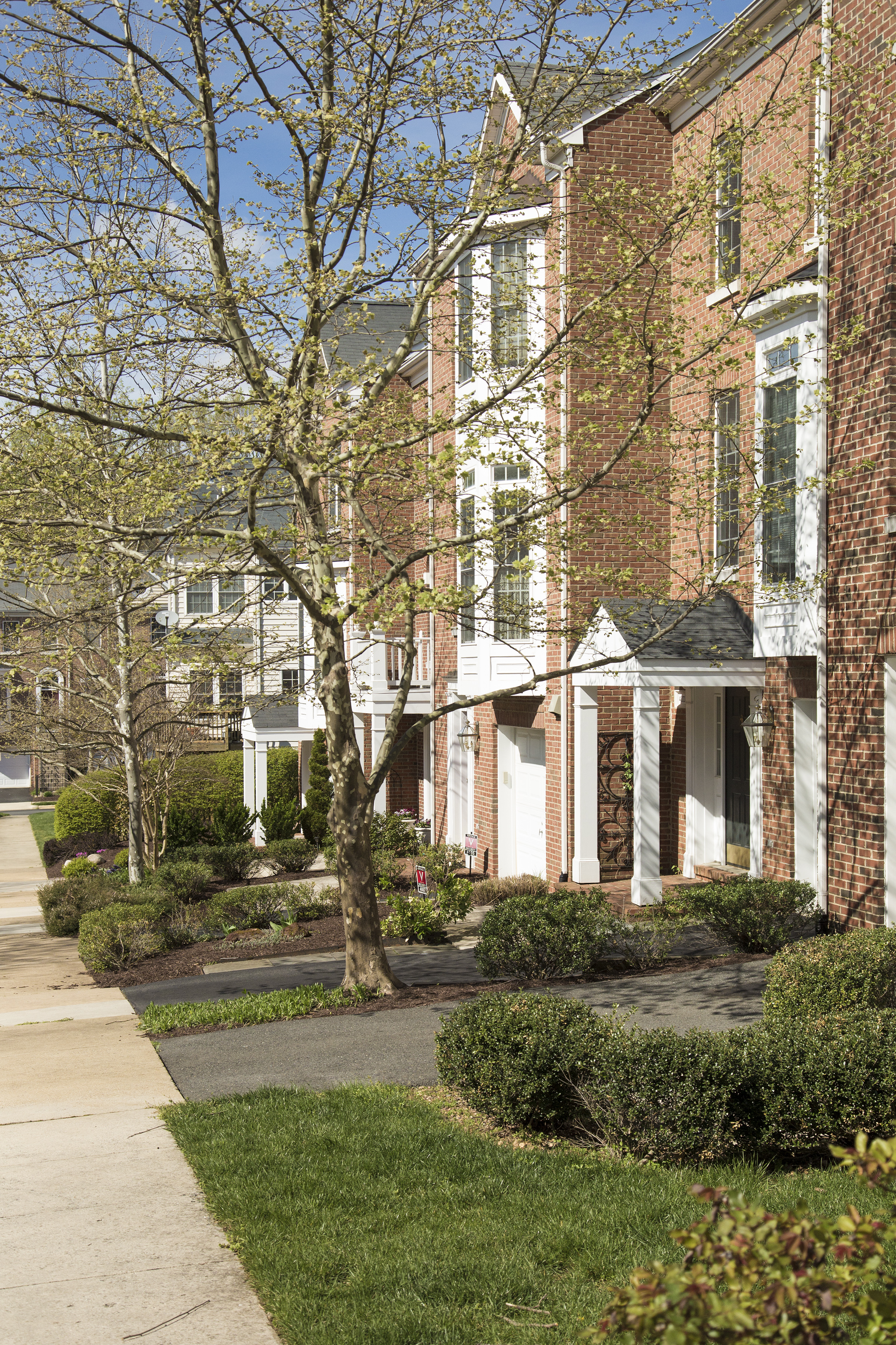 Community Townhomes thumbnail