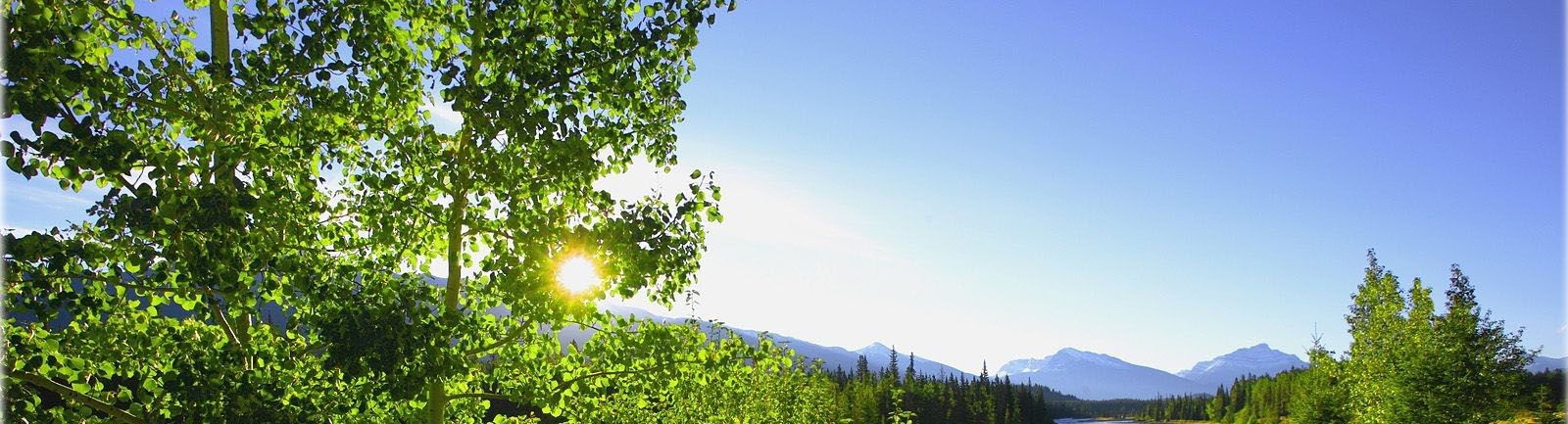 Wasatch Springs Townhomes cover