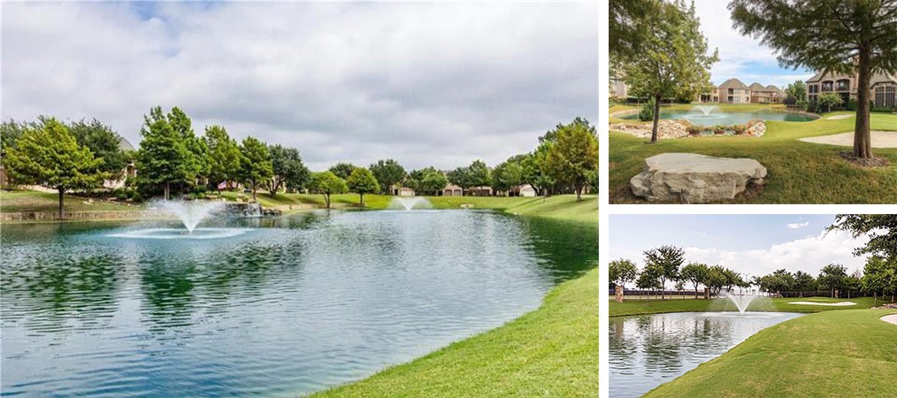 Willow Pond HOA (Frisco) cover