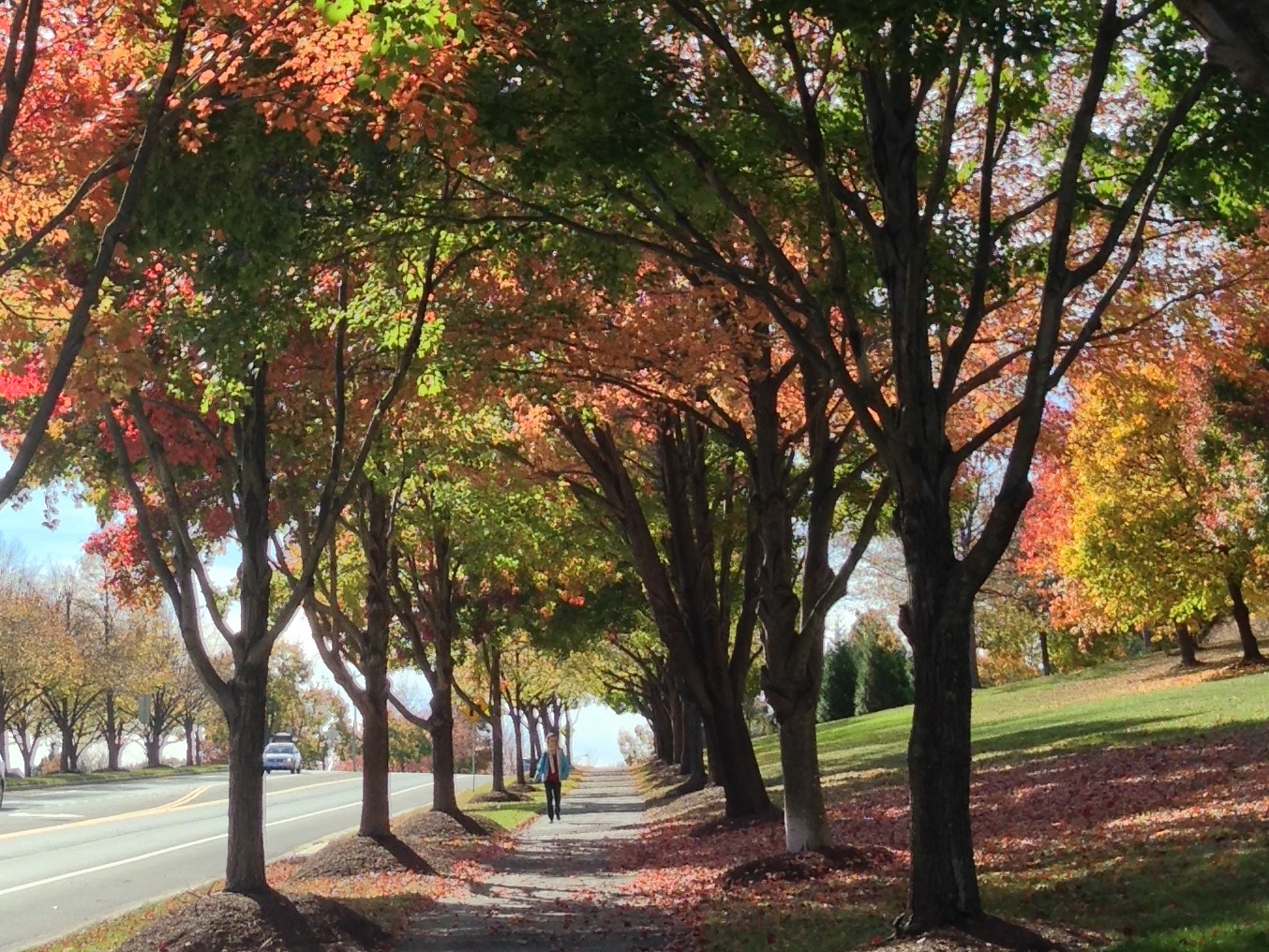 Kingstowne Residential Owners Corporation TownSq Community App