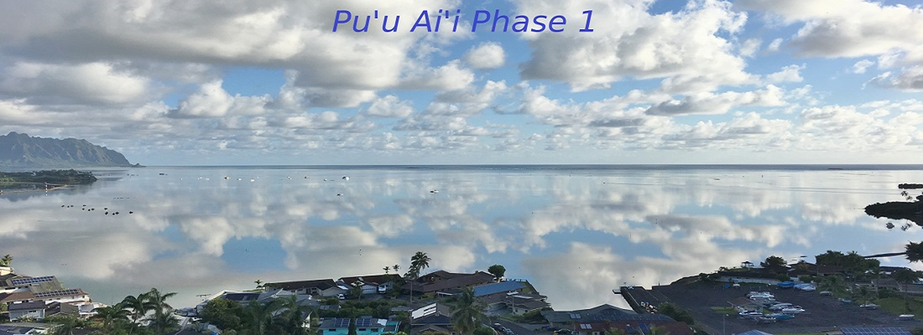 Puu Alii Phase I cover