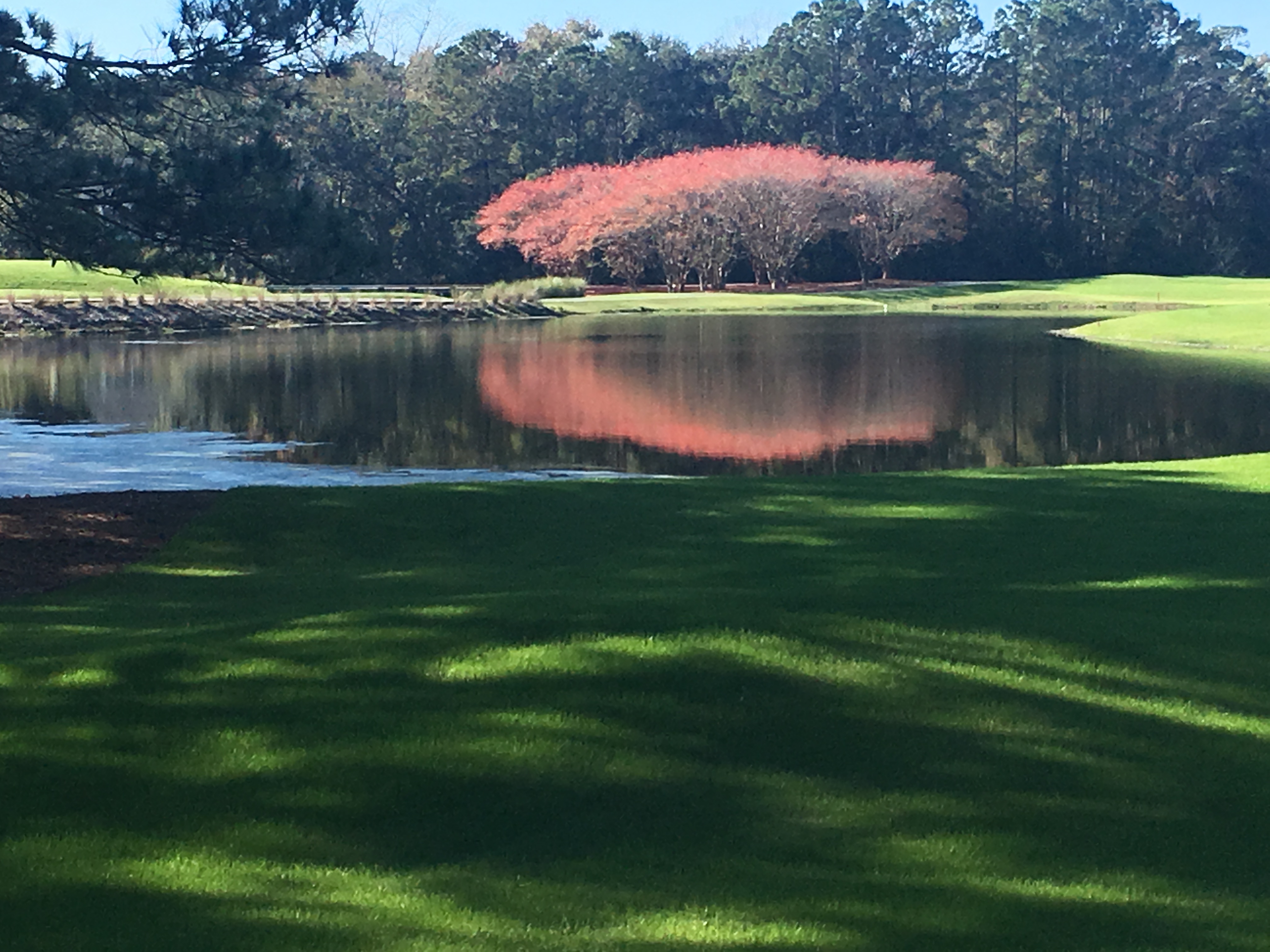 Oak Point colors thumbnail