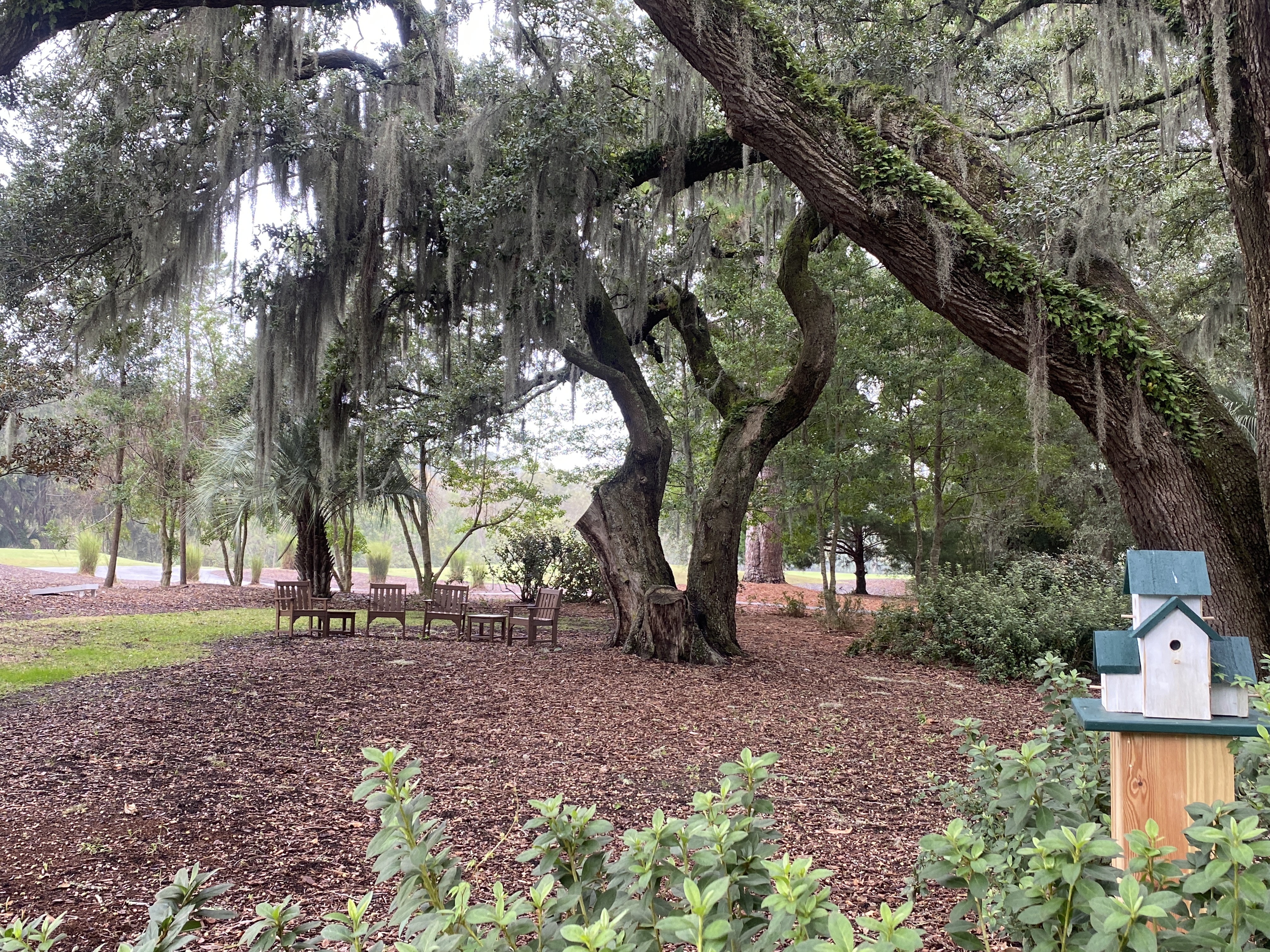 Front of the clubhouse thumbnail