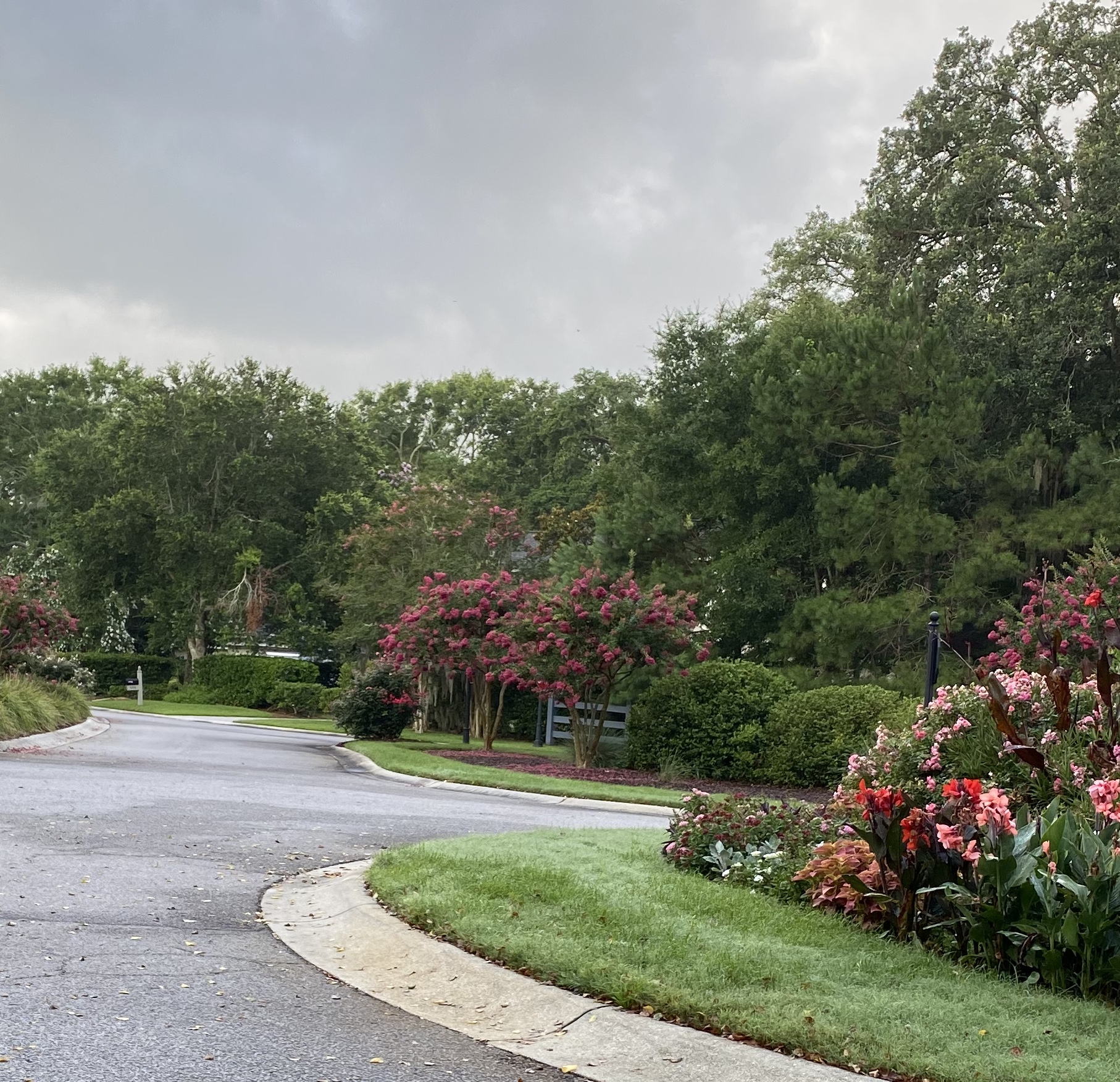 Entrance to Hope Plantation Drive thumbnail