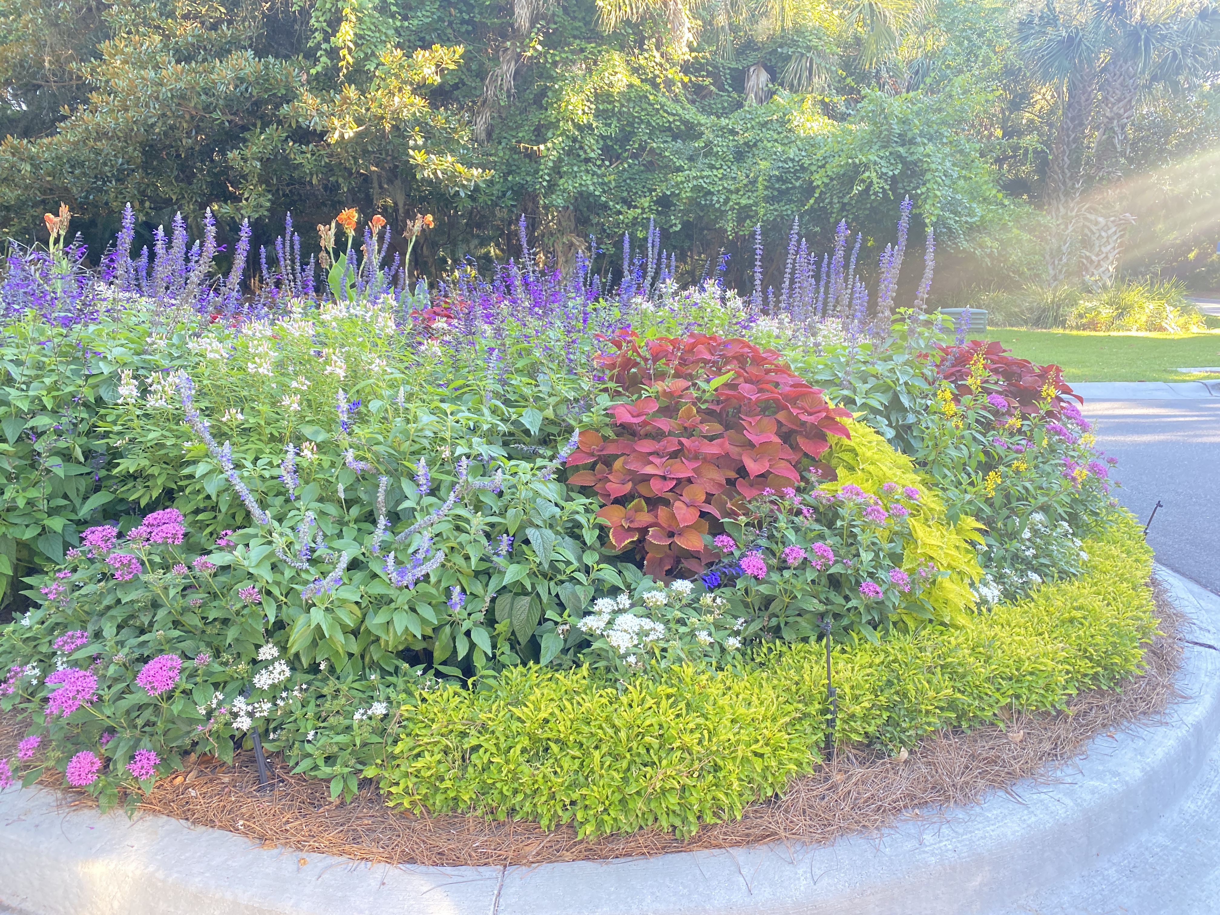 Lovely grounds thumbnail