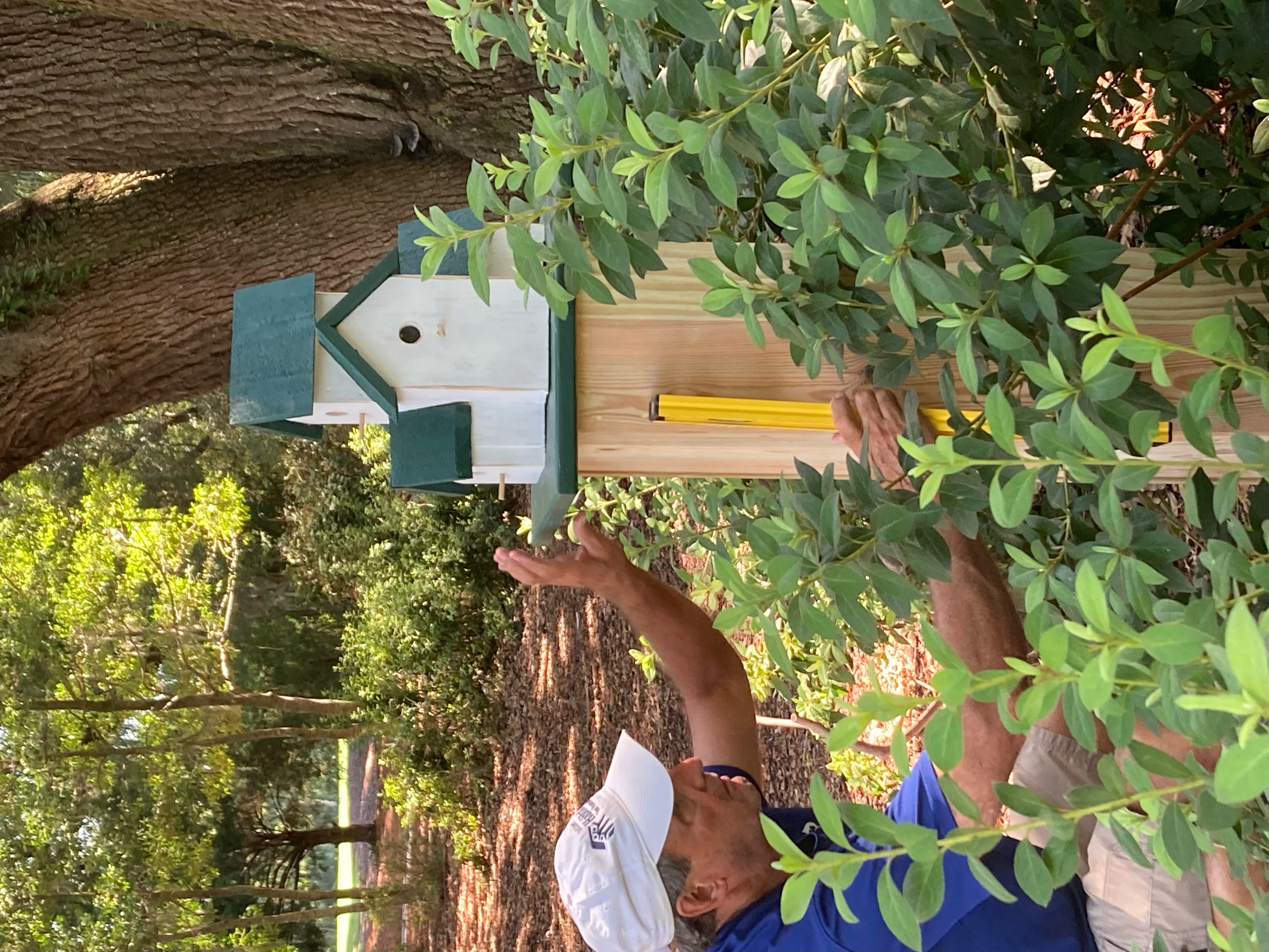 A dedicated volunteer thumbnail