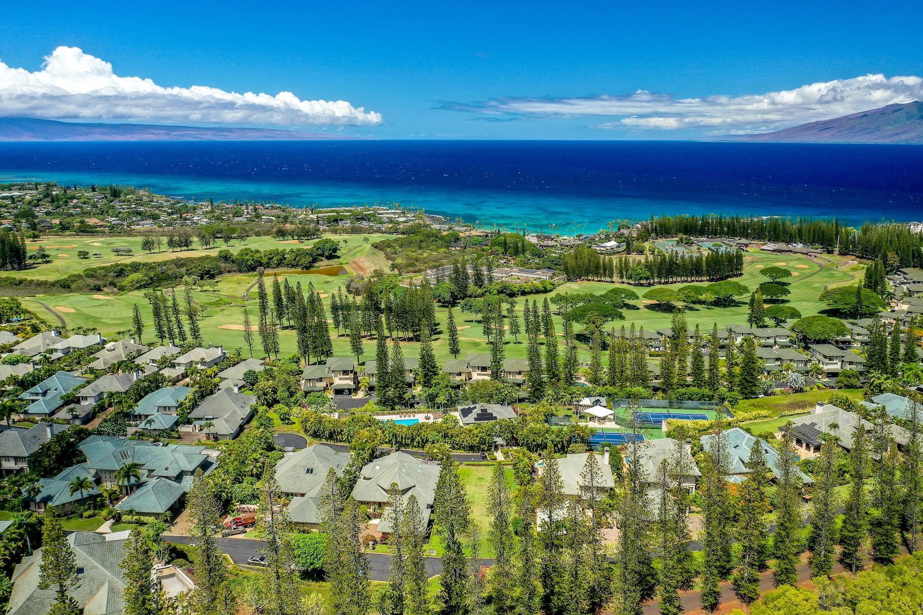 Pineapple Hill at Kapalua Owners' Association cover