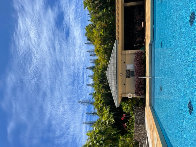 Sunny days poolside thumbnail