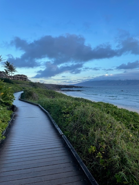 Boardwalk along the ocean thumbnail
