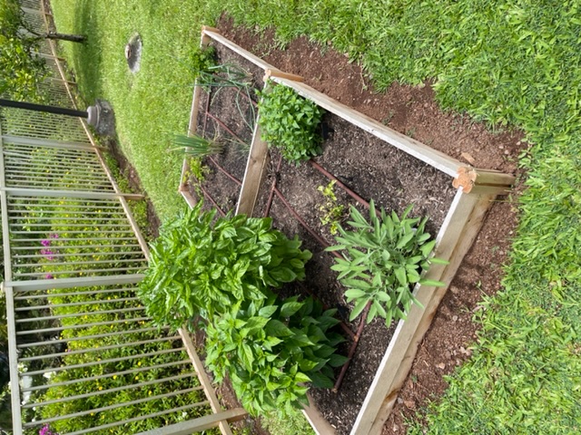 Herb Gardens and Fruit Trees thumbnail