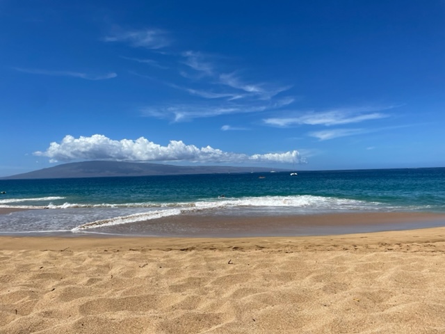 Sandy beaches thumbnail