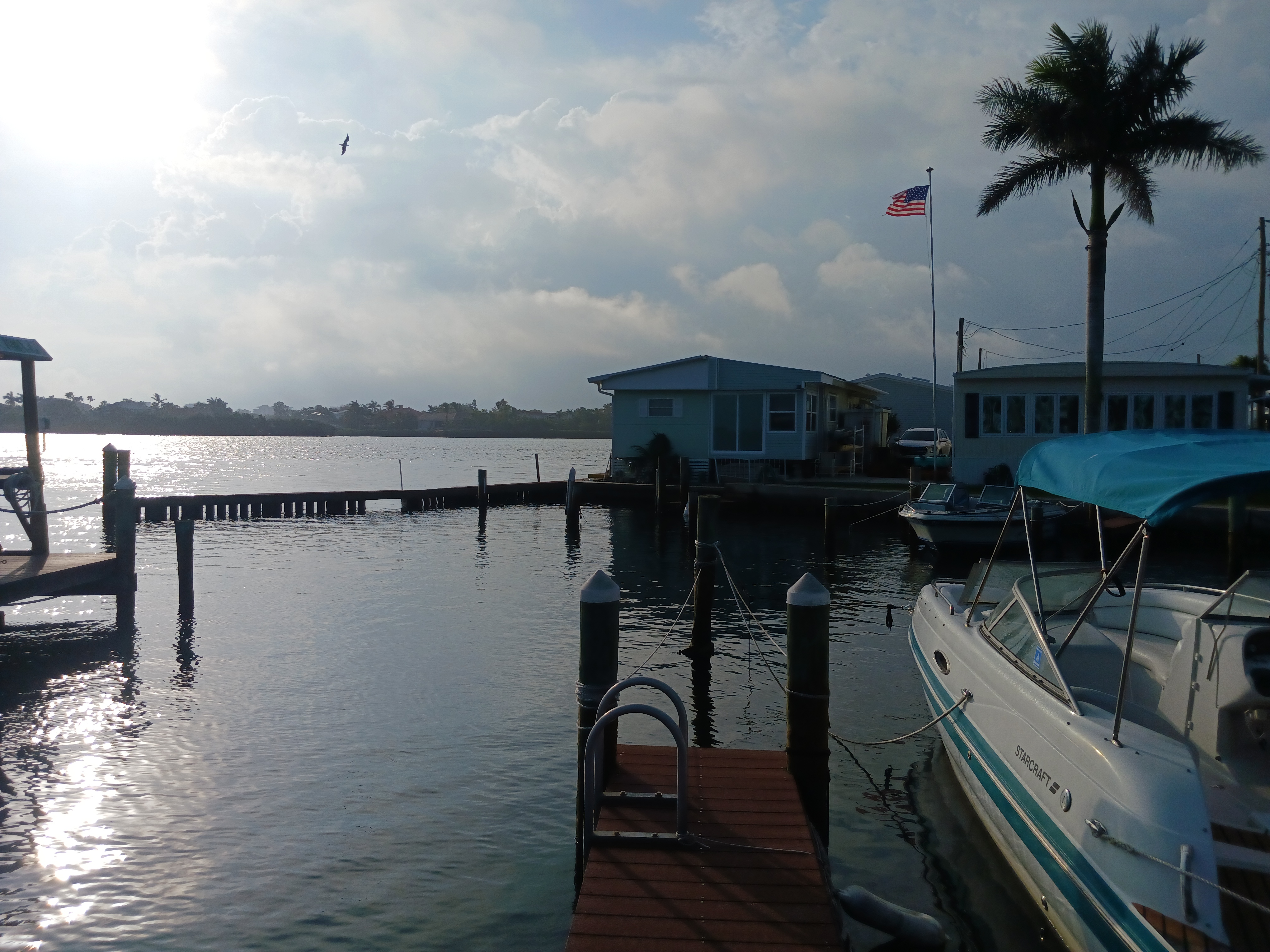 Evening at the Marina. thumbnail