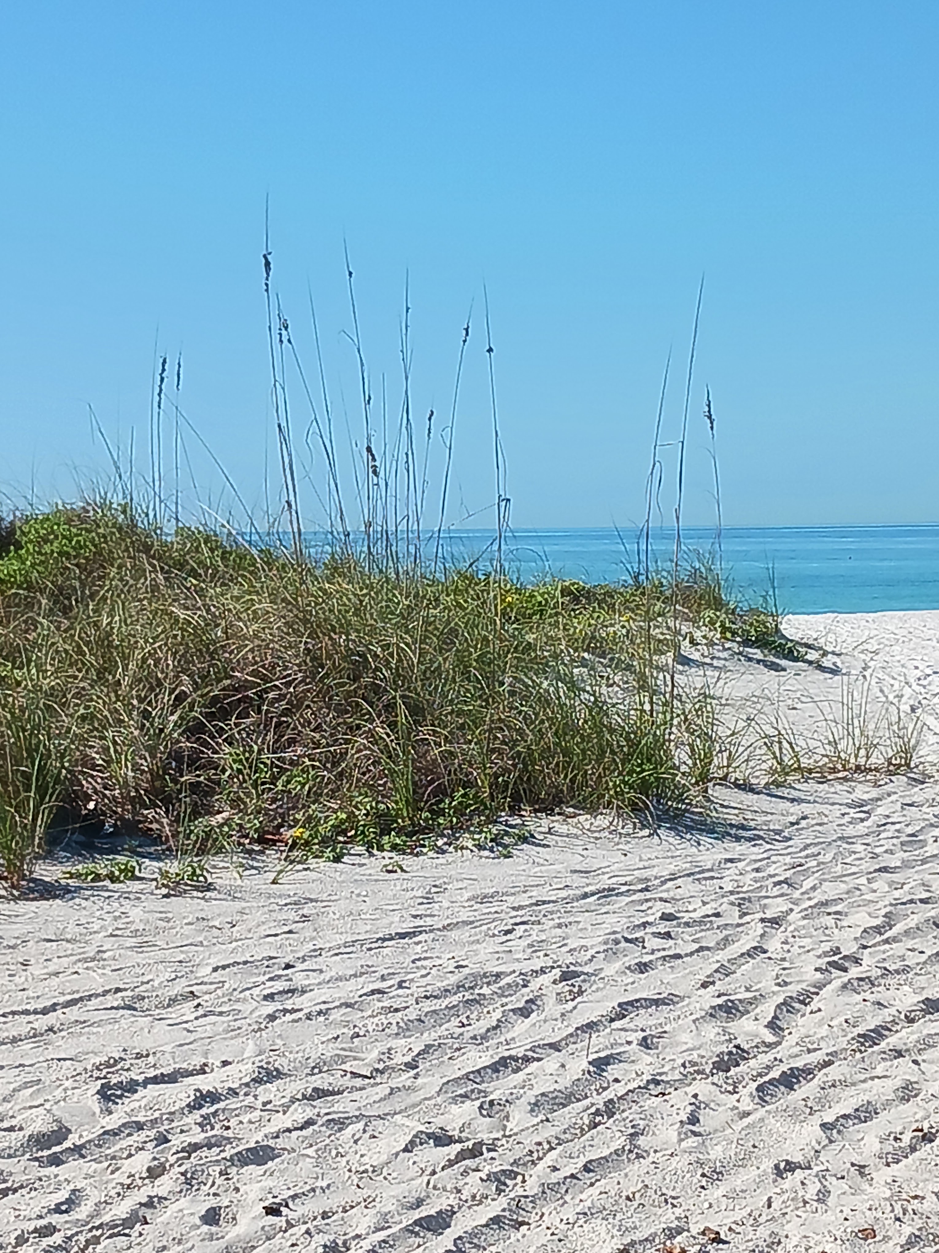 The variety of our private beach. thumbnail