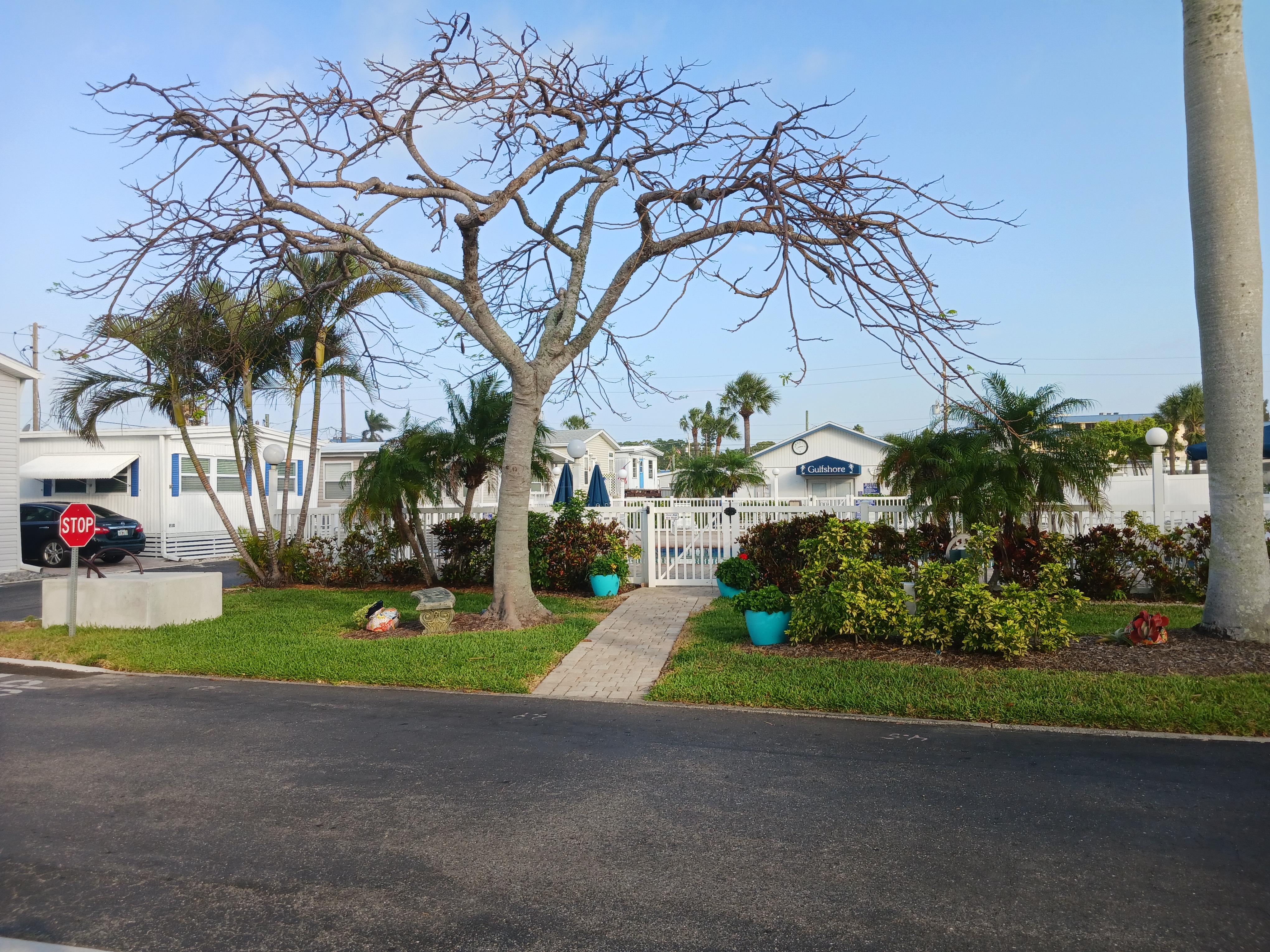 View of common area outside the Pool and Clubhouse. thumbnail