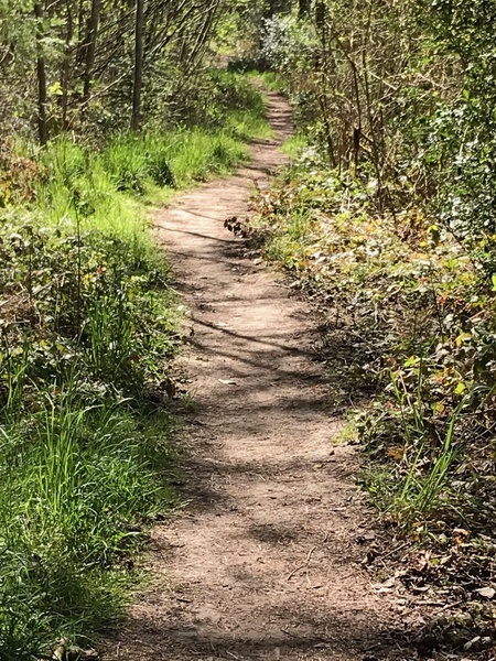 There are many walking trails easily accessible from Bill Point thumbnail