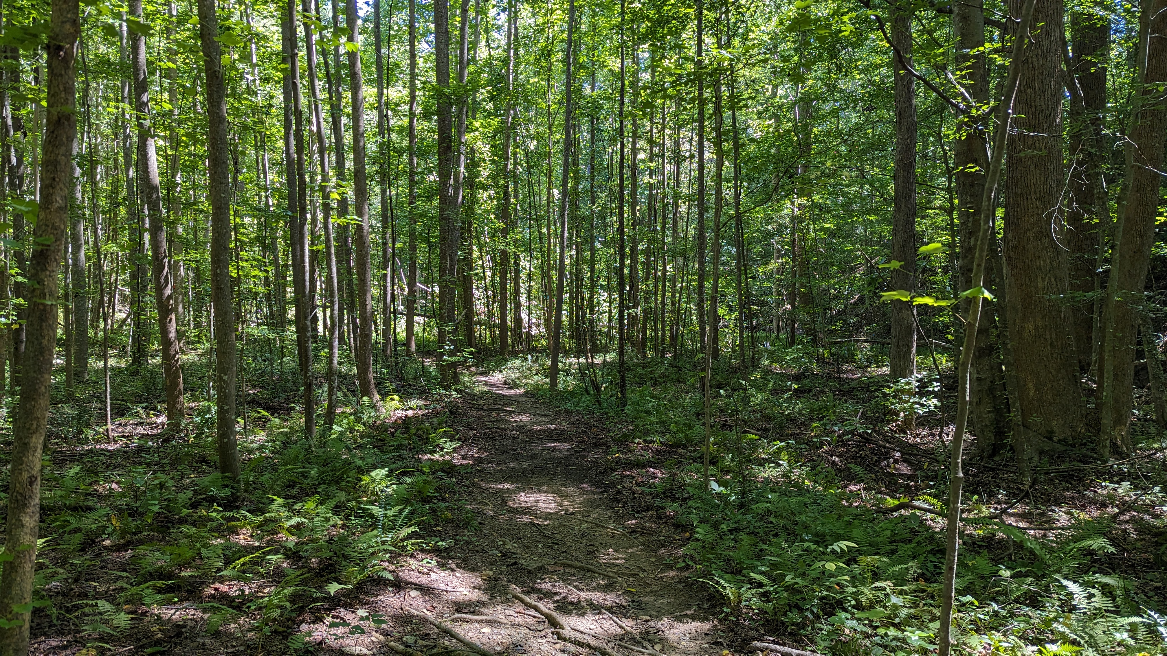 Hiking trails thumbnail