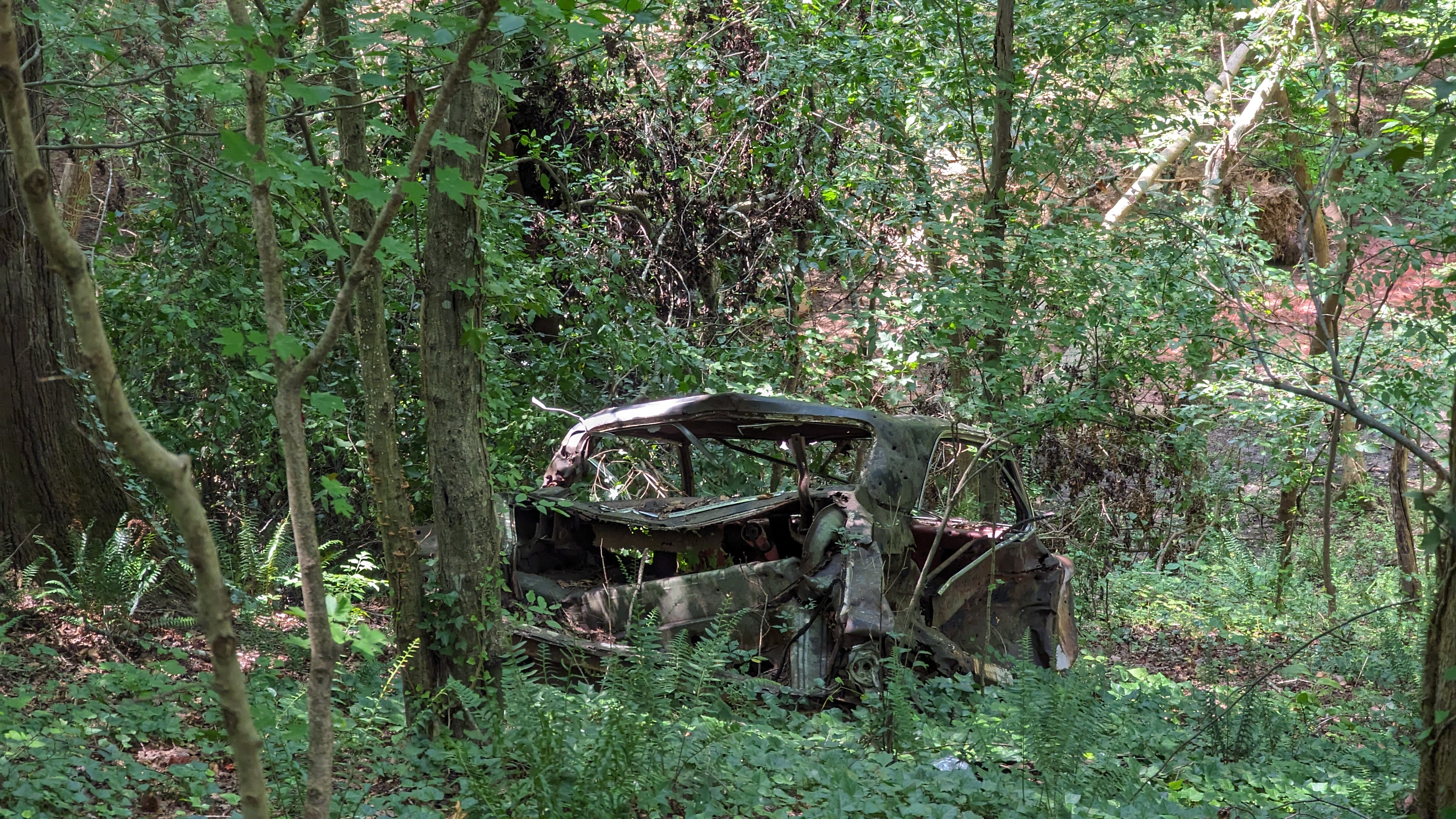 Abandoned car along one of our hiking trails. thumbnail