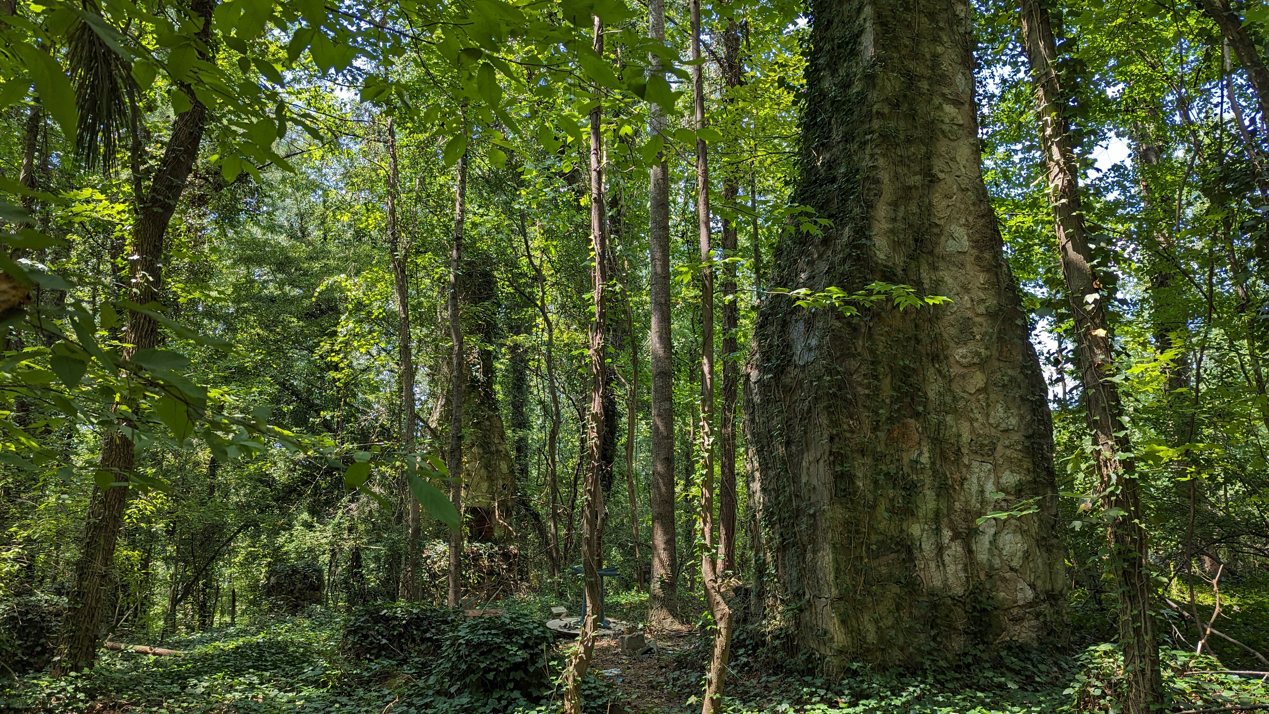 Hiking trails. thumbnail