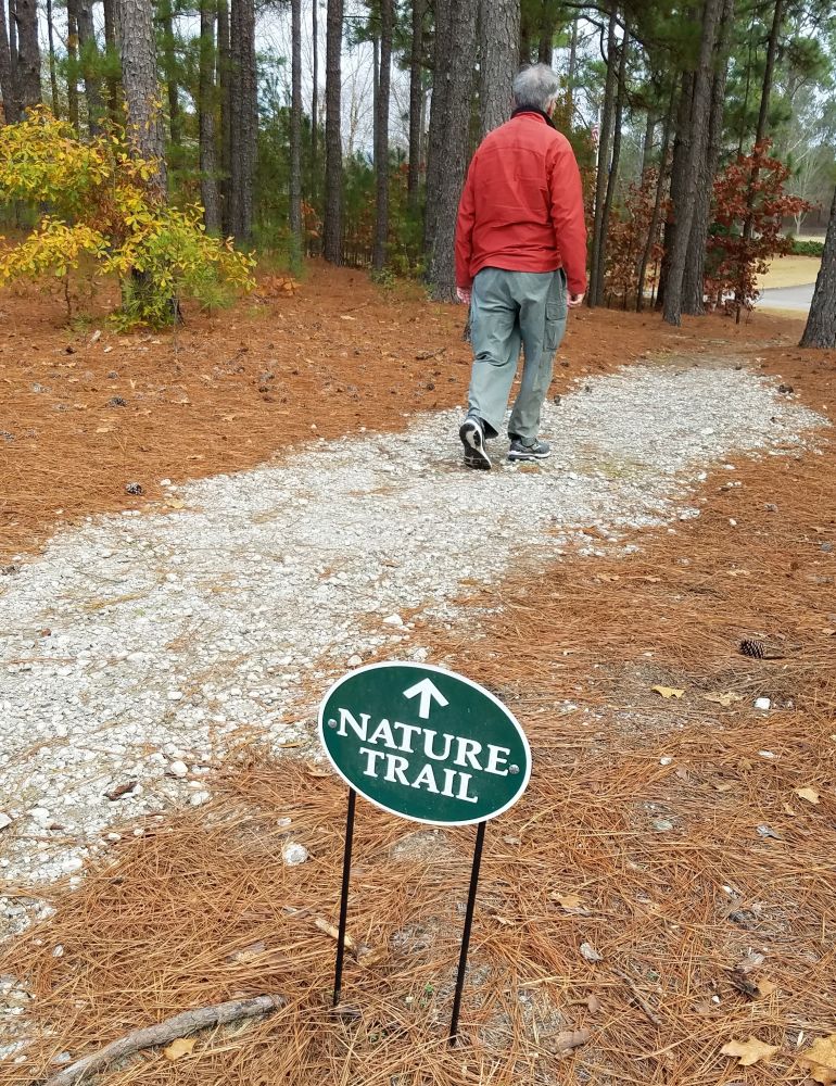 An earthen nature trail winds around West Side Park through a beautiful longleaf pine forest. thumbnail