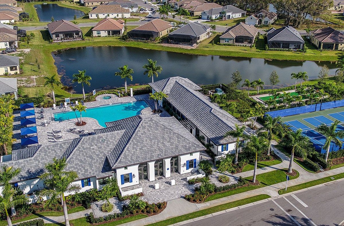 Indigo Neighborhood cover