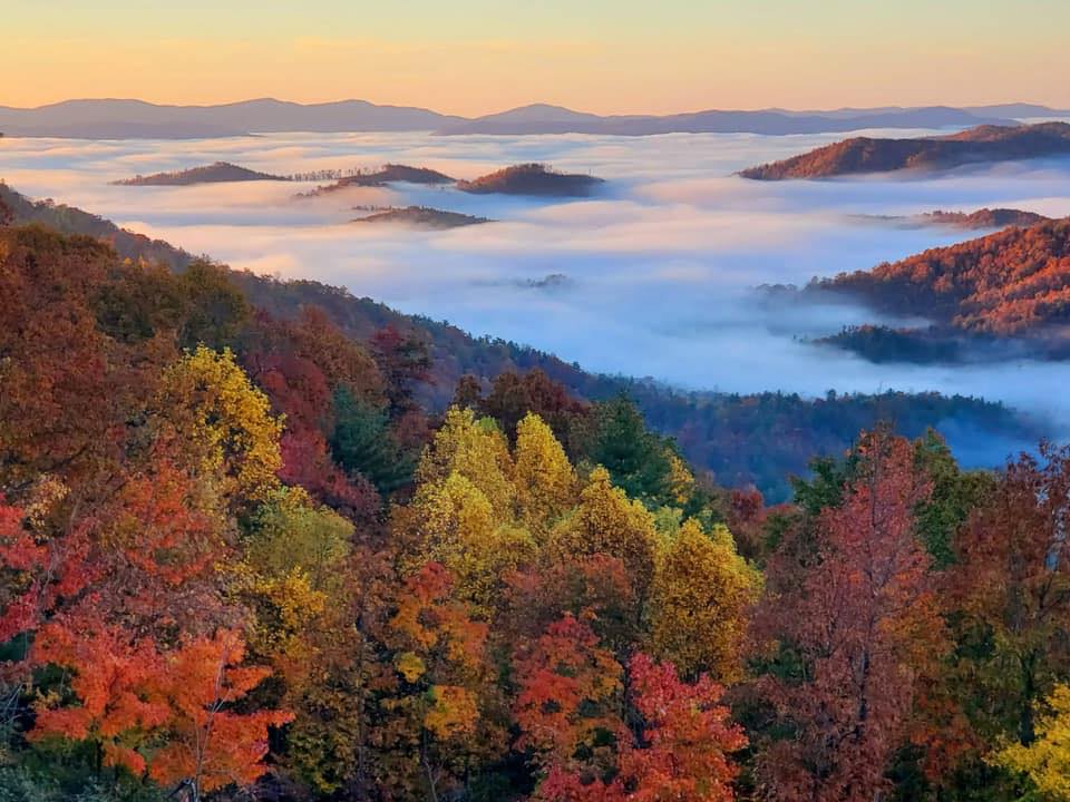 Buck Mountain cover