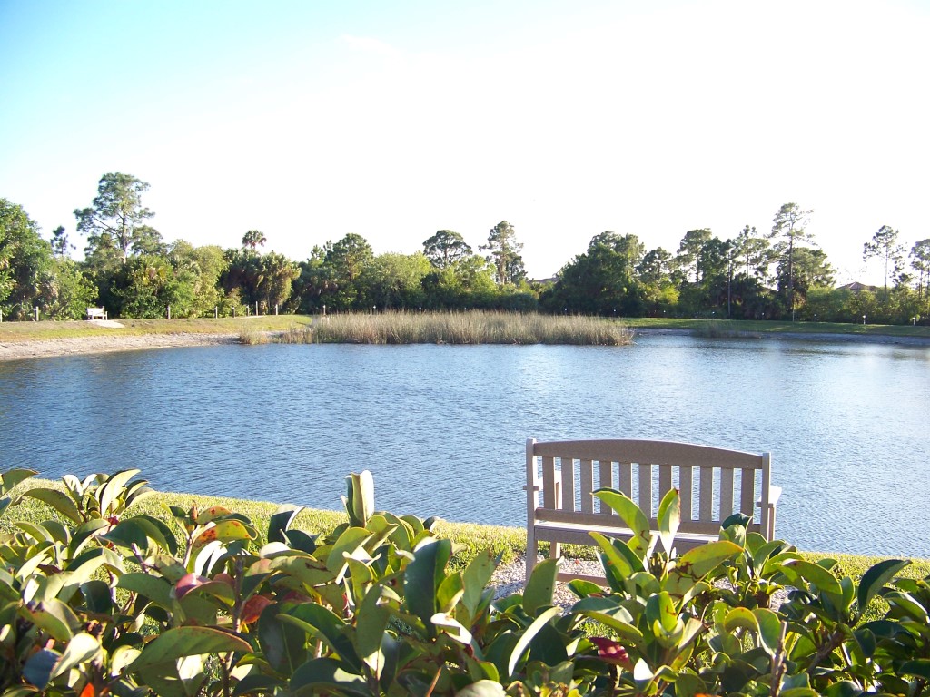 Scenic Pond Overlook thumbnail