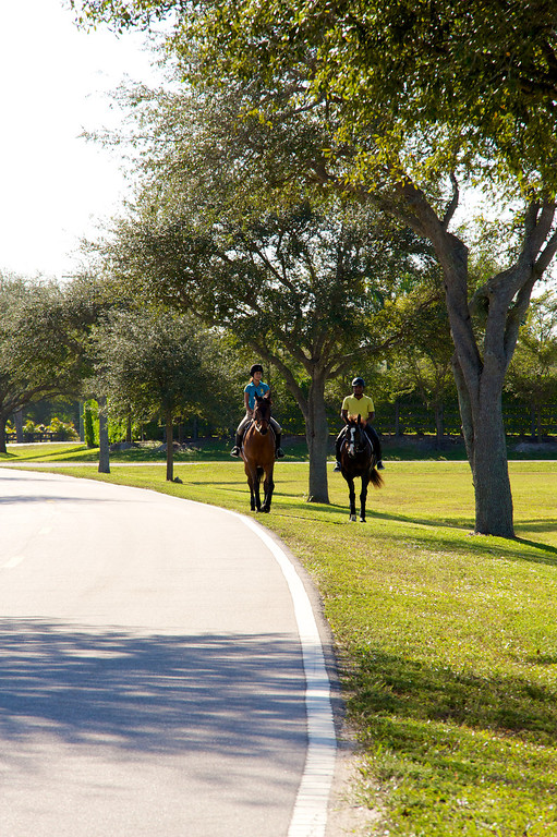 Palm Beach Point POA, Inc.  cover