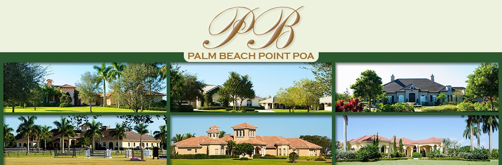 Palm Beach Point thumbnail