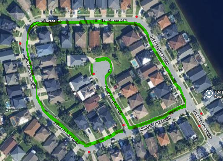 Hidden Forest Circle  thumbnail