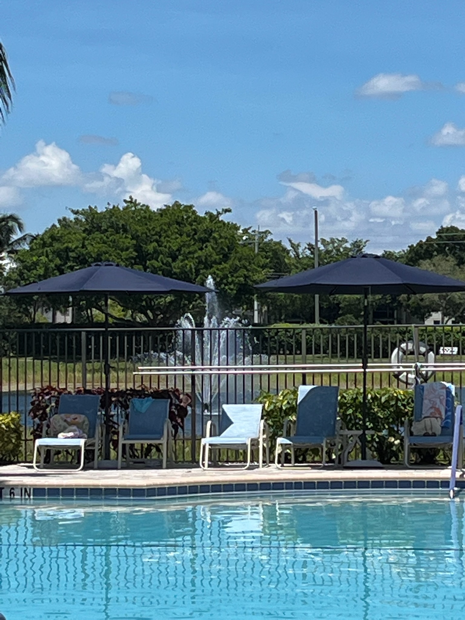 Pool Umbrellas thumbnail