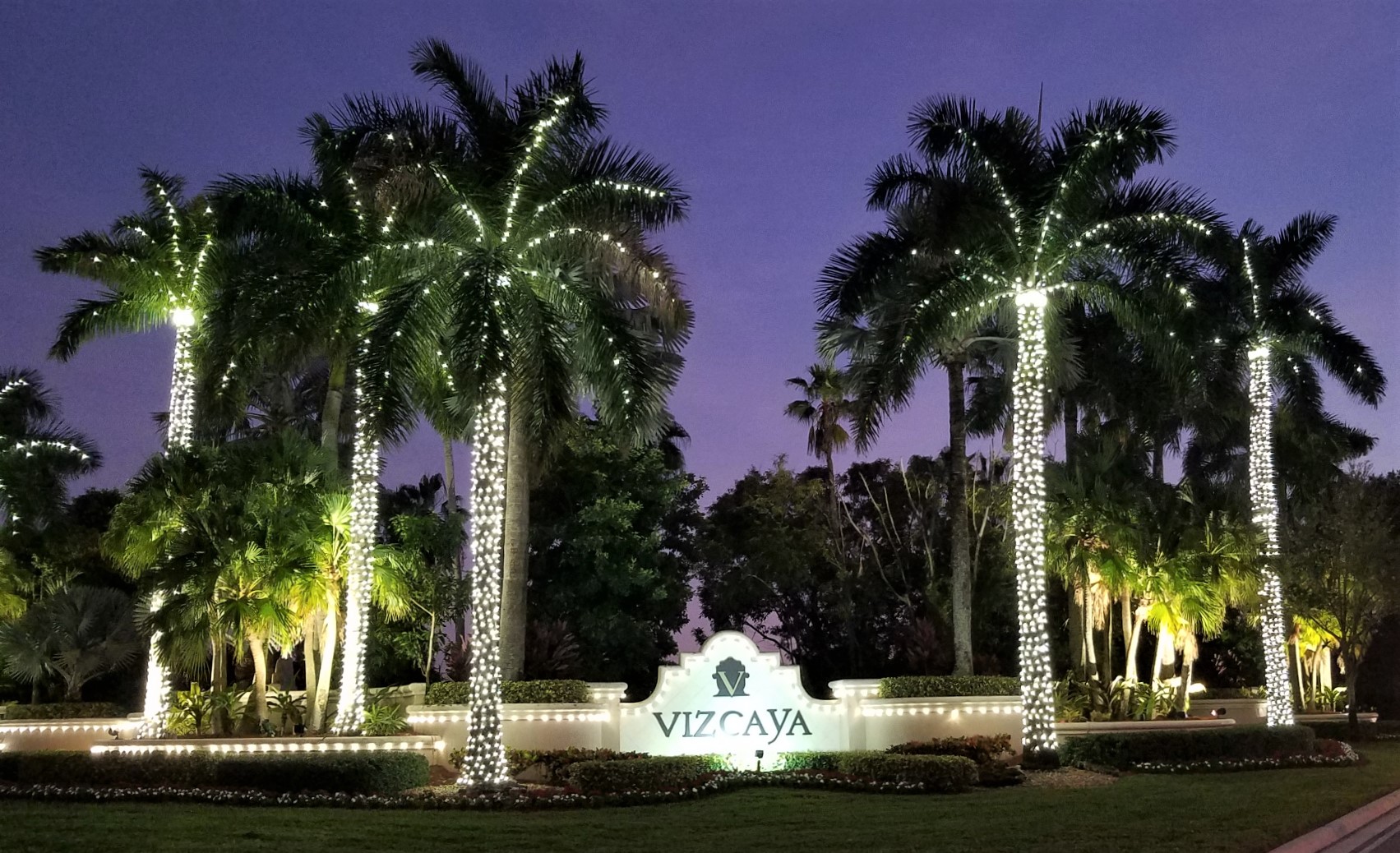 Vizcaya - Holiday Lights thumbnail