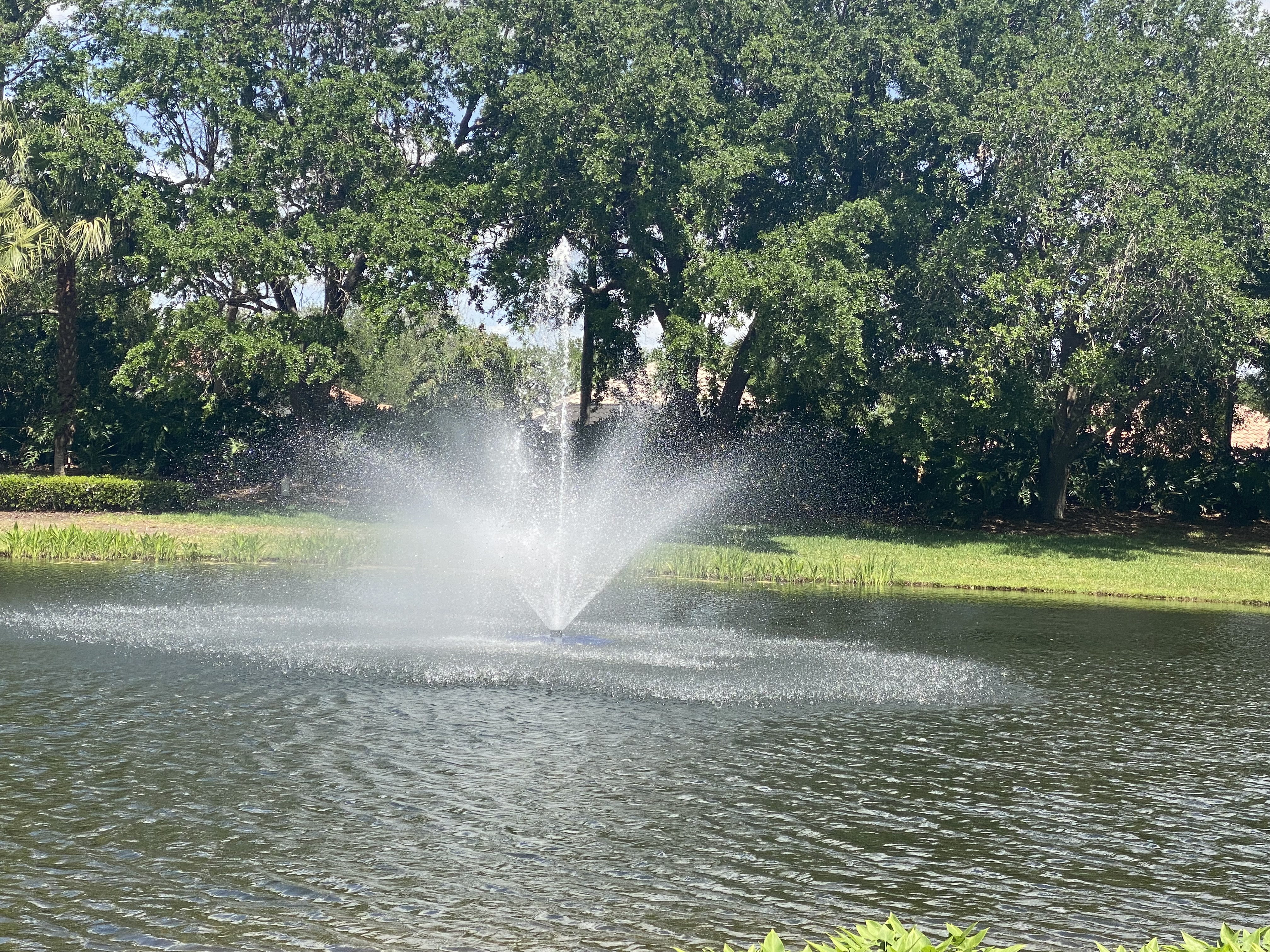 Front Fountain thumbnail