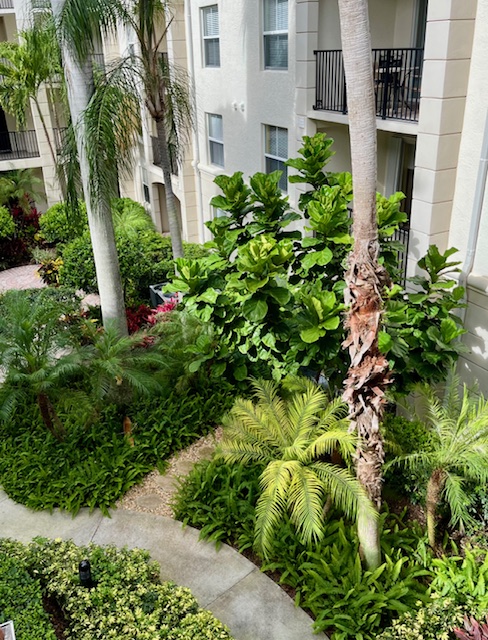 Courtyard thumbnail