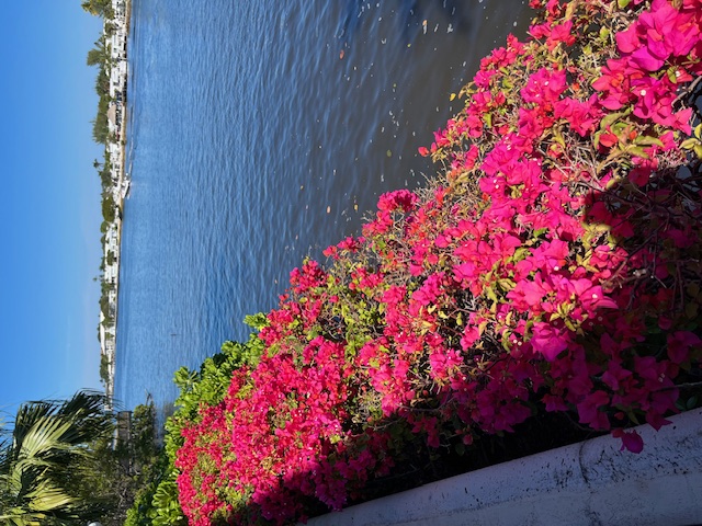 Intracoastal View thumbnail
