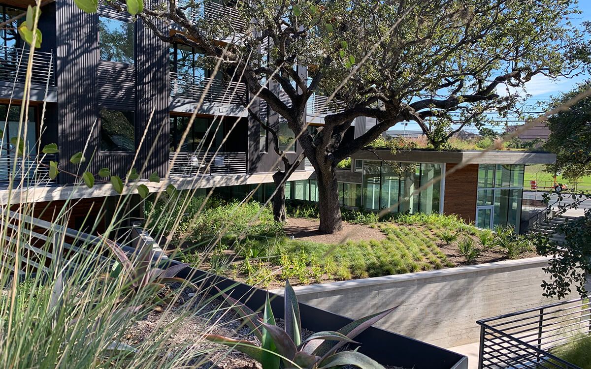 900 S. 1st Street Condominium cover