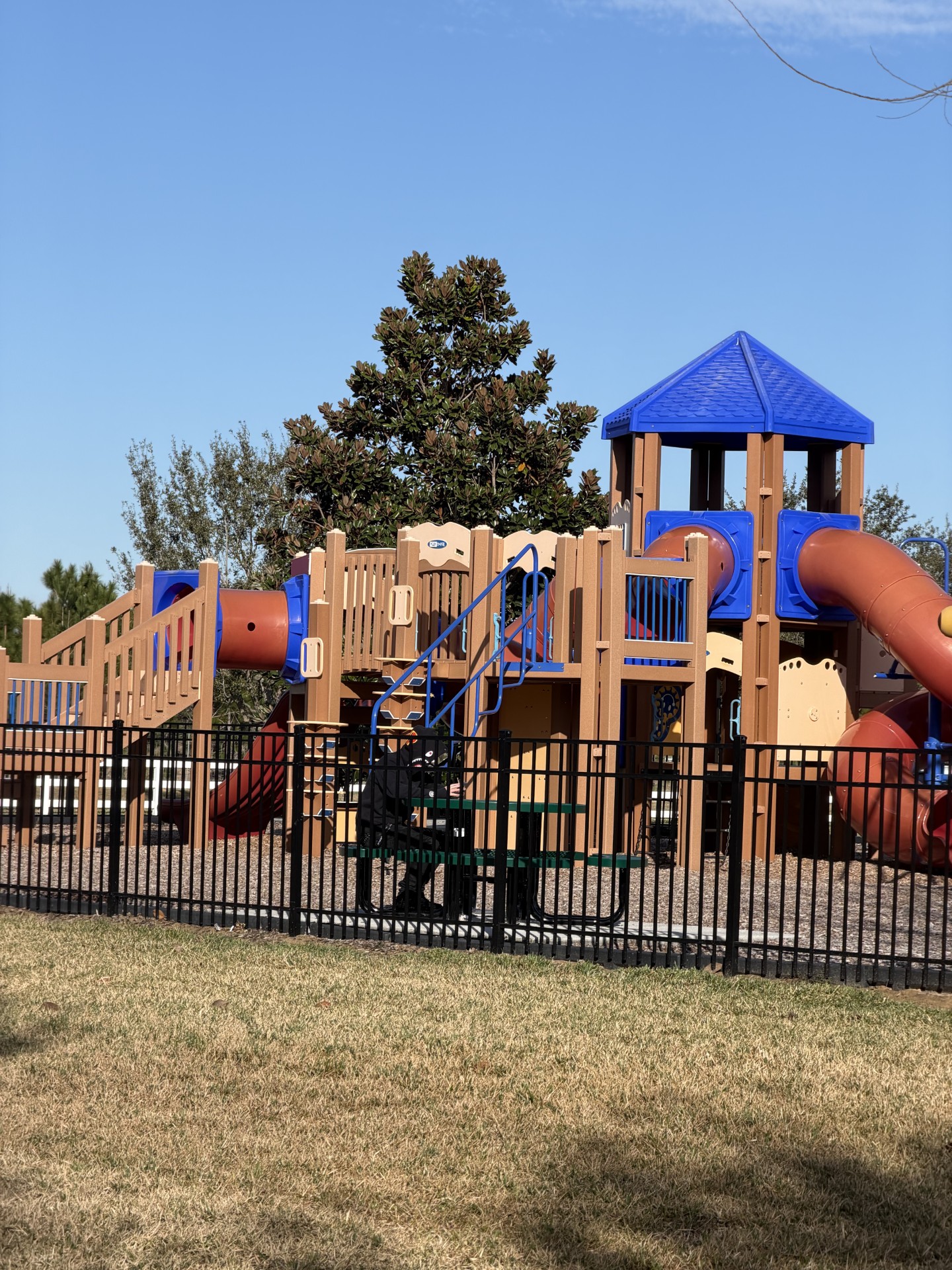'Spiderman' Park new gate thumbnail