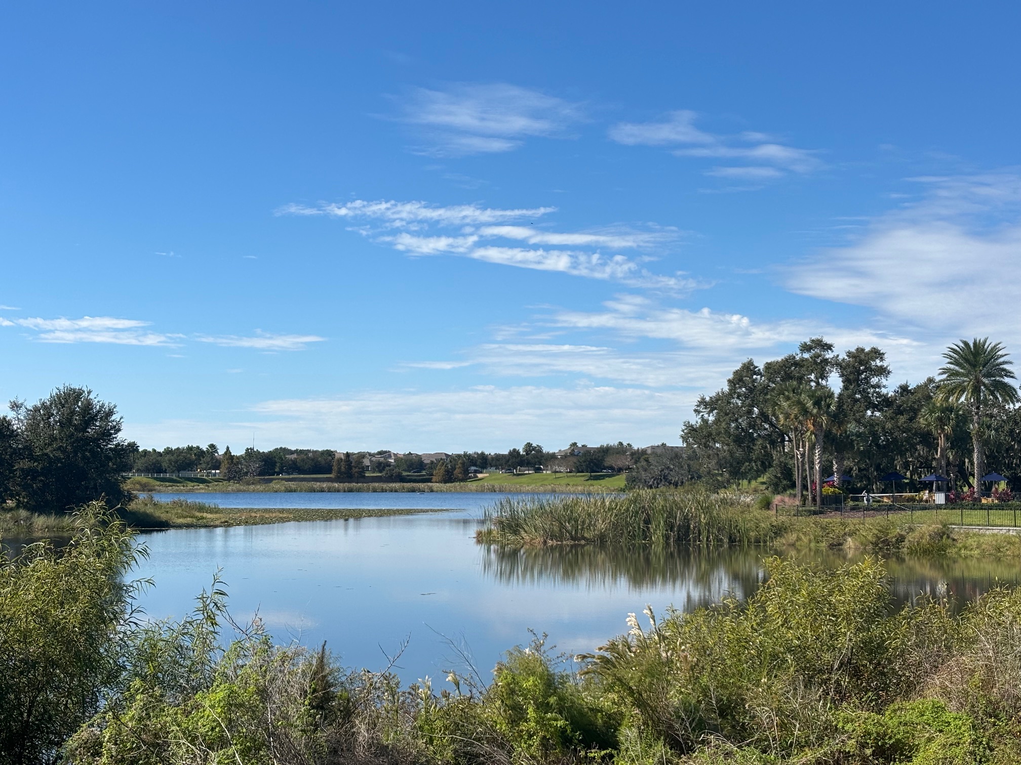 Community Pond After Cleanup thumbnail