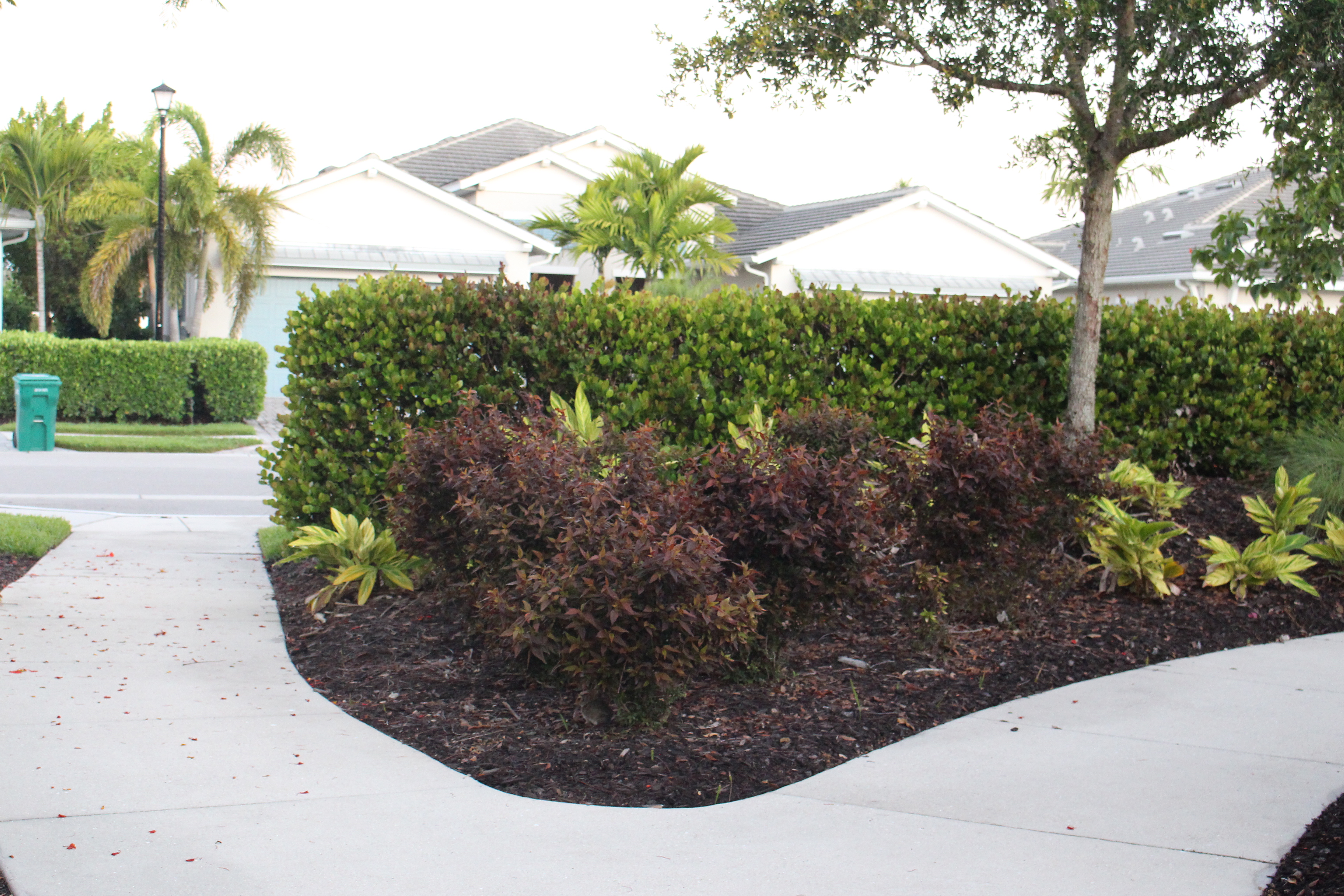 New Landscaping around Tennis & Pickleball Courts thumbnail